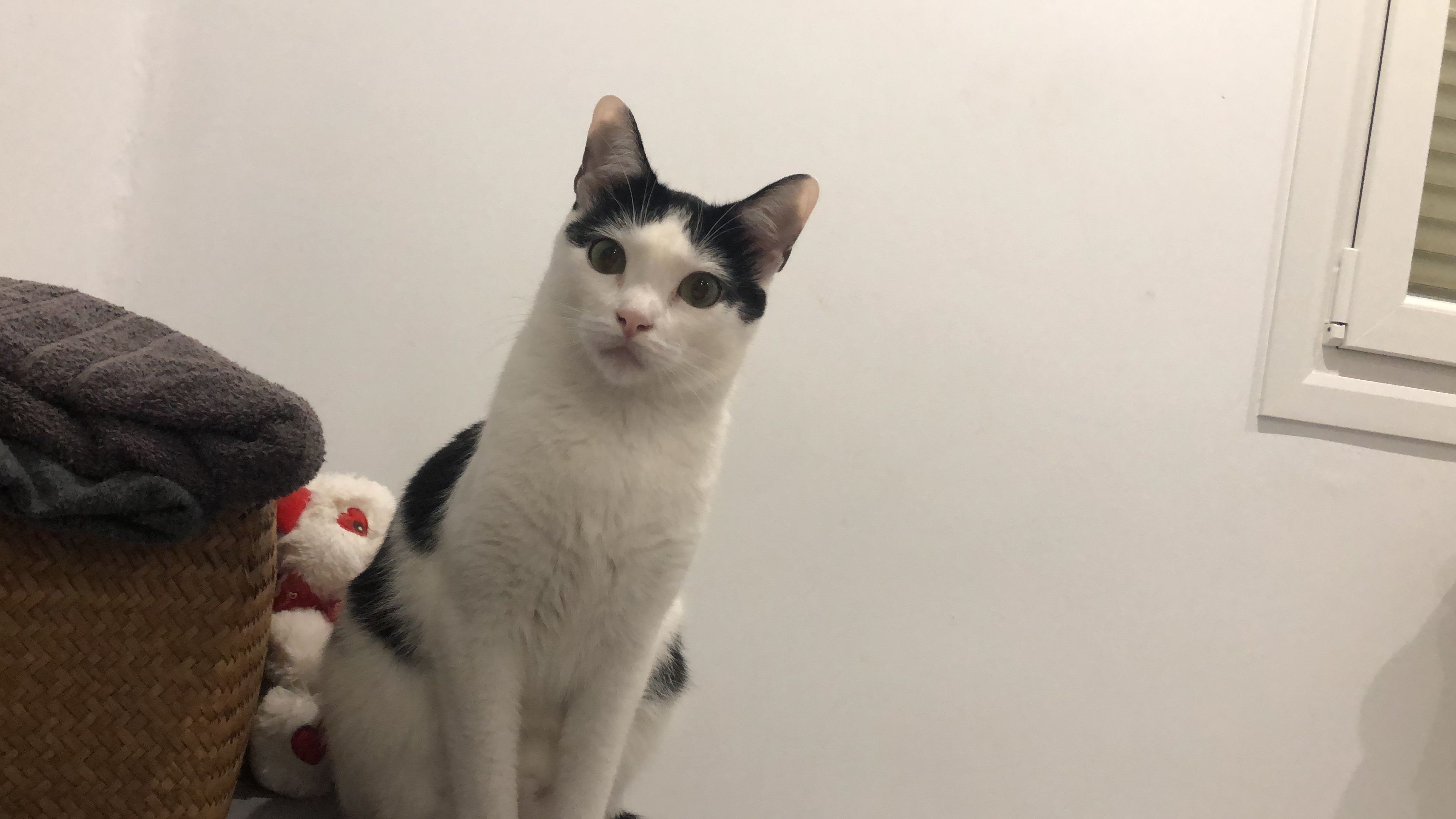 Ron - Avenida de la Cerrada, Camargo