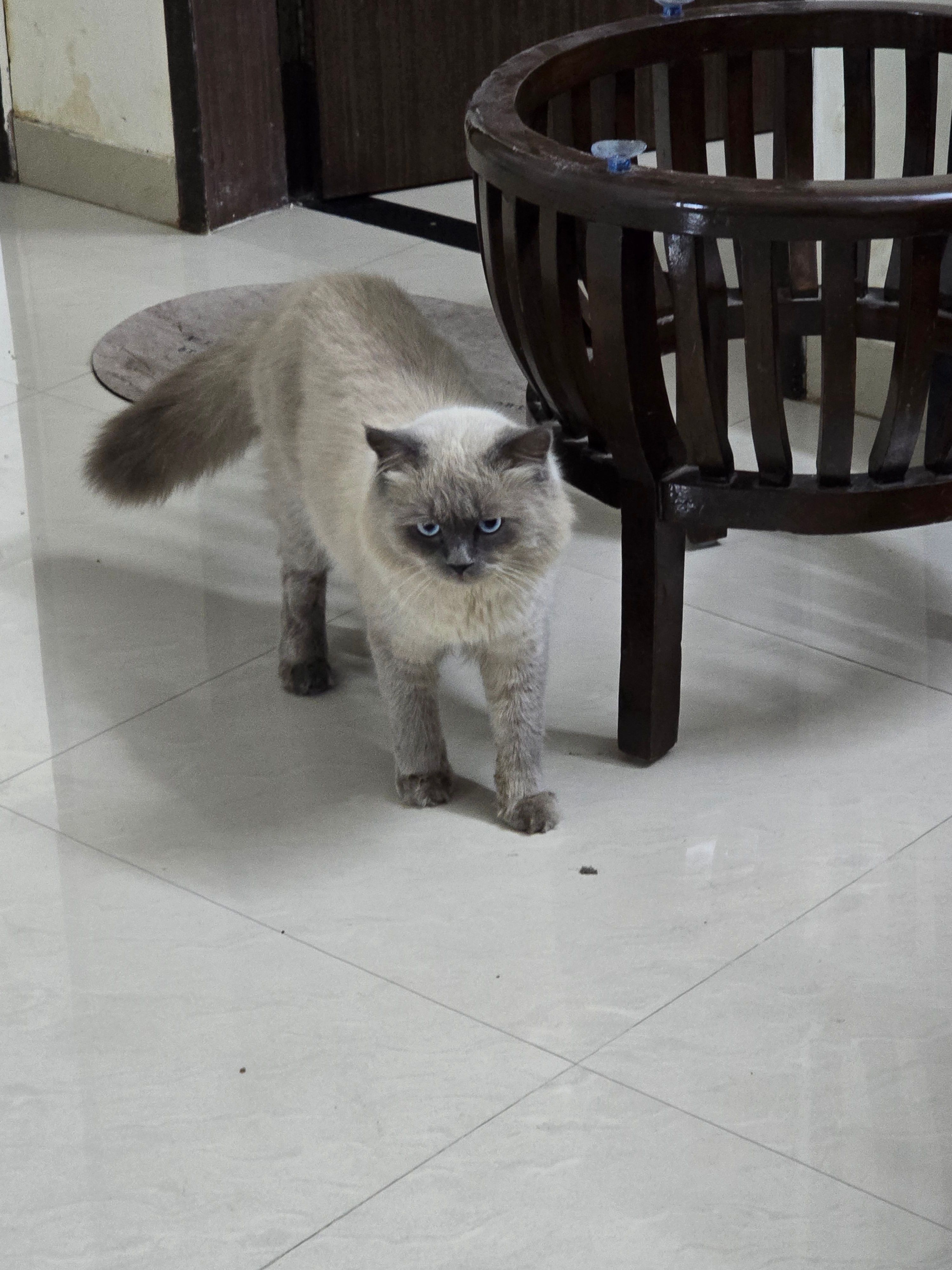 Pablo - Katraj - Dehu Road Bypass, Mulshi