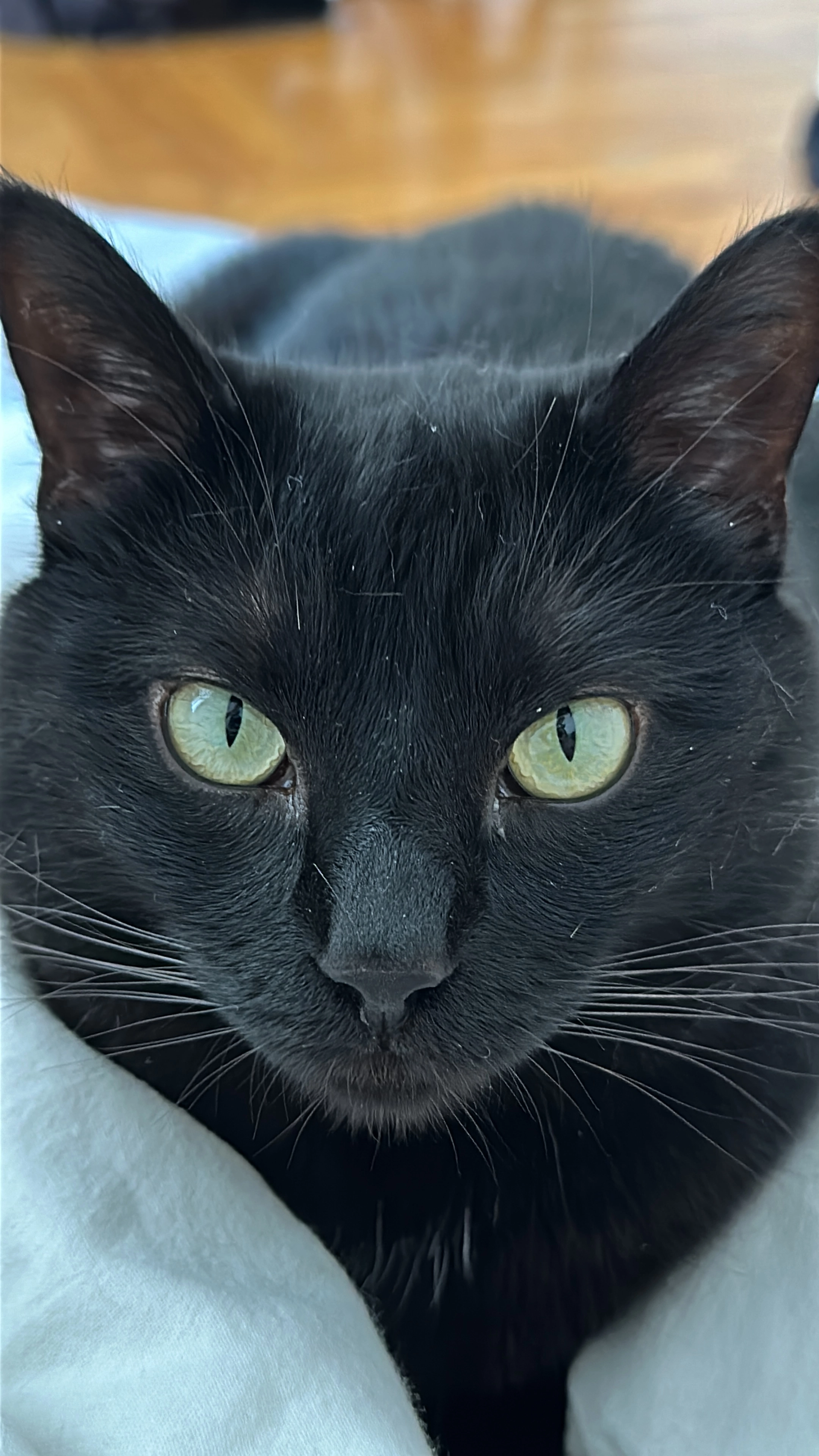 Günther - Route de Montaubert 11, Corminboeuf