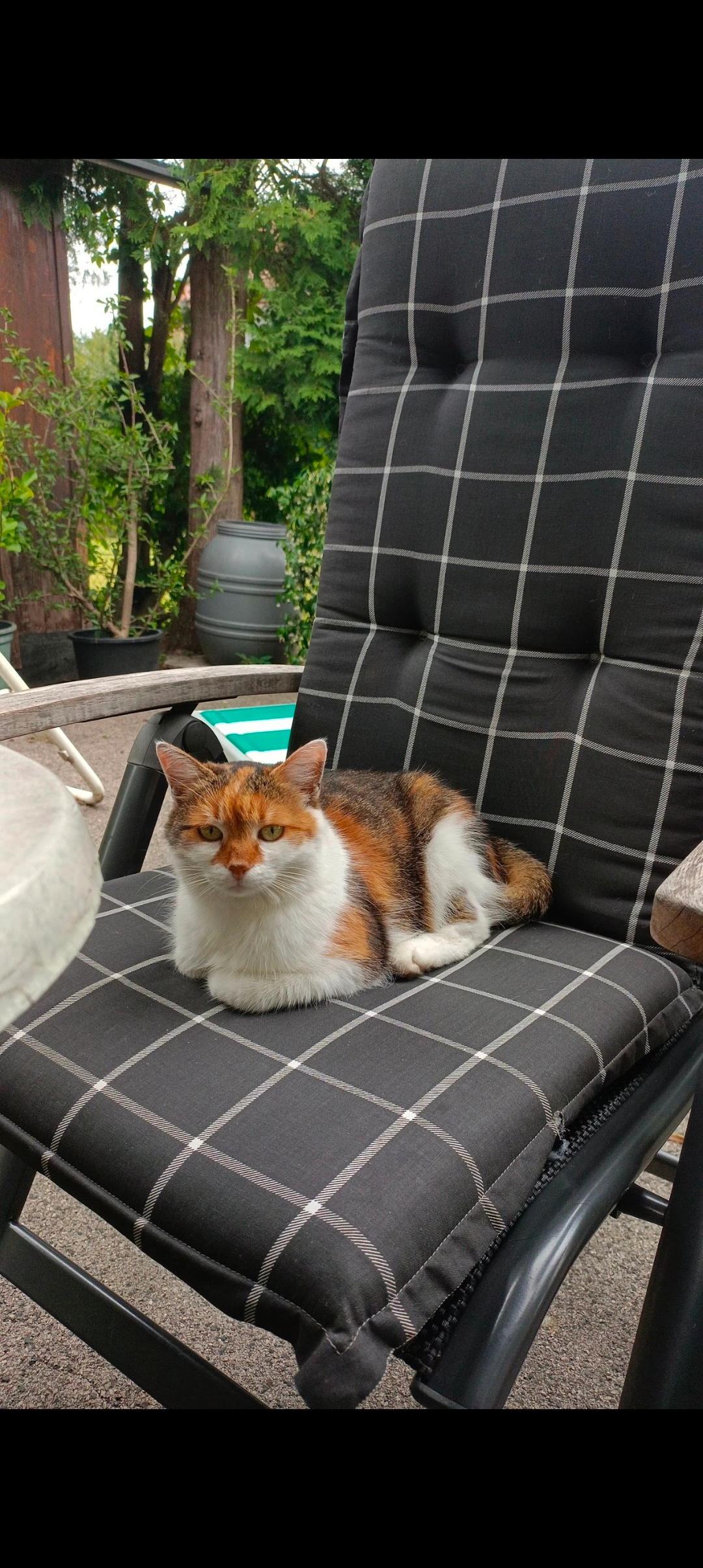 Abigail - Lodengasse, Klagenfurt am Wörthersee