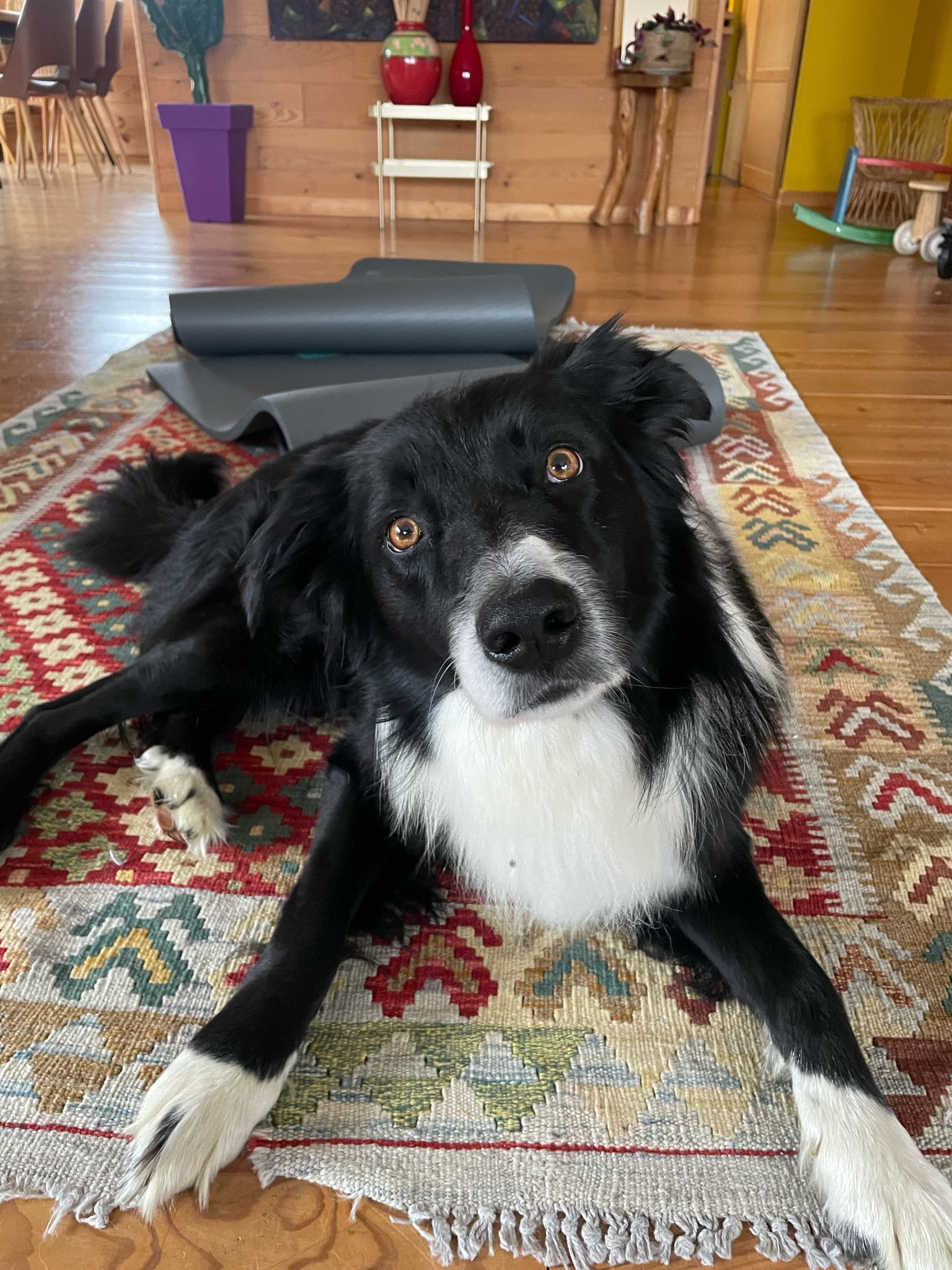 Haku - 1126 Chemin de Serpianne, Glun