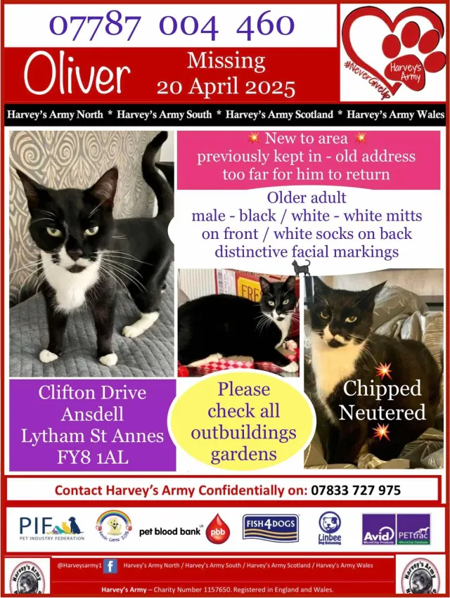Oliver - Clifton Drive, Lytham Saint Annes