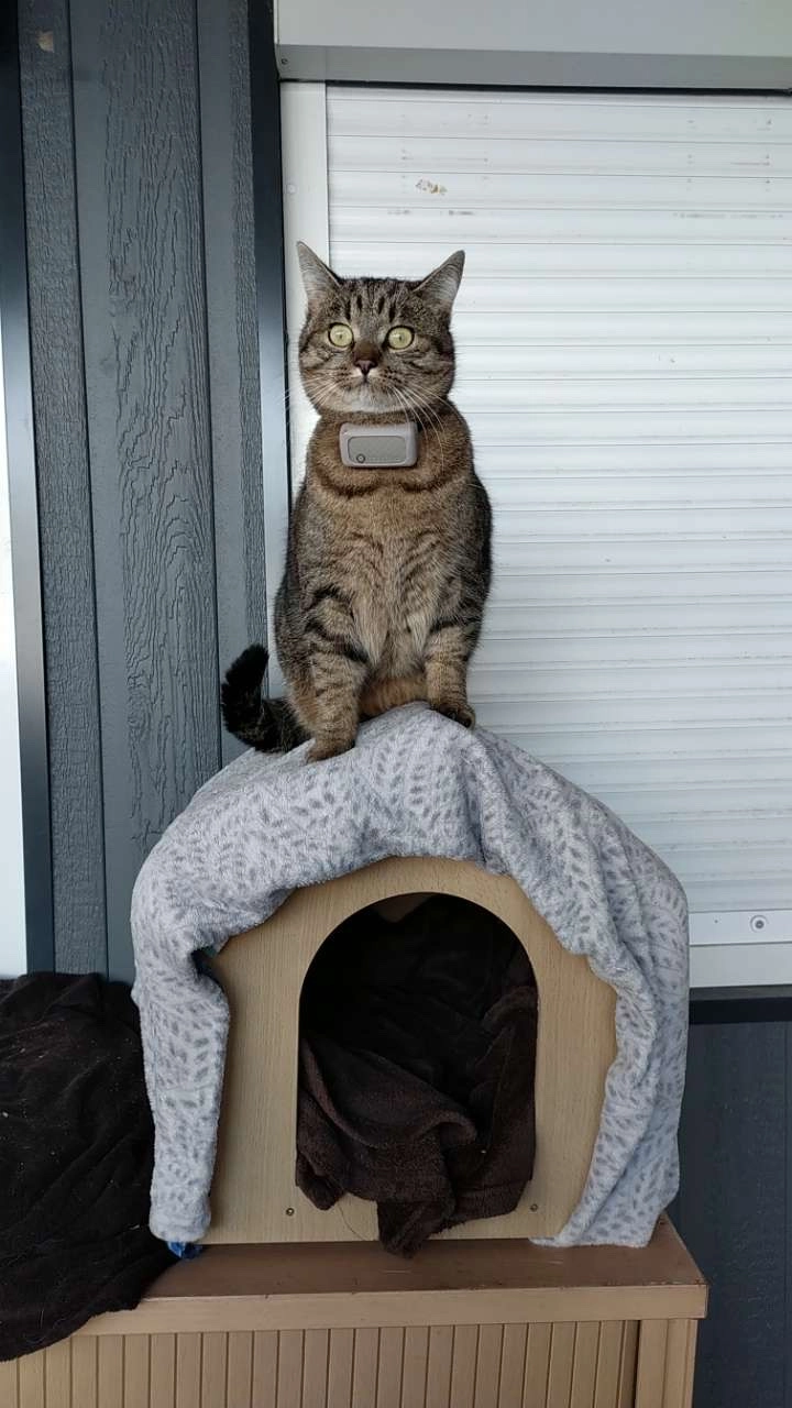 Twinnie - Route D'arcine, Reignier-Ésery