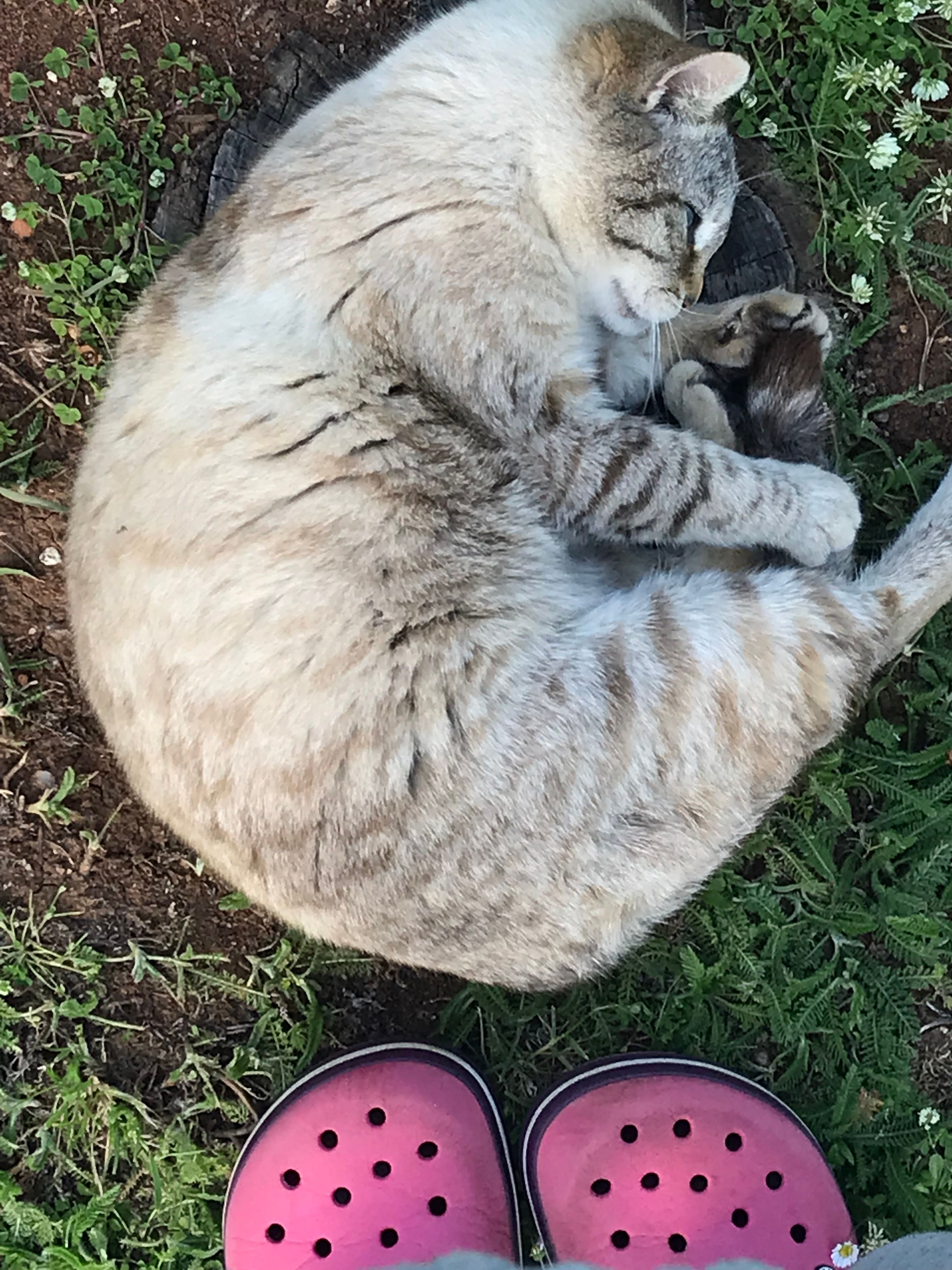 Ukica - Vrčevan, Medulin