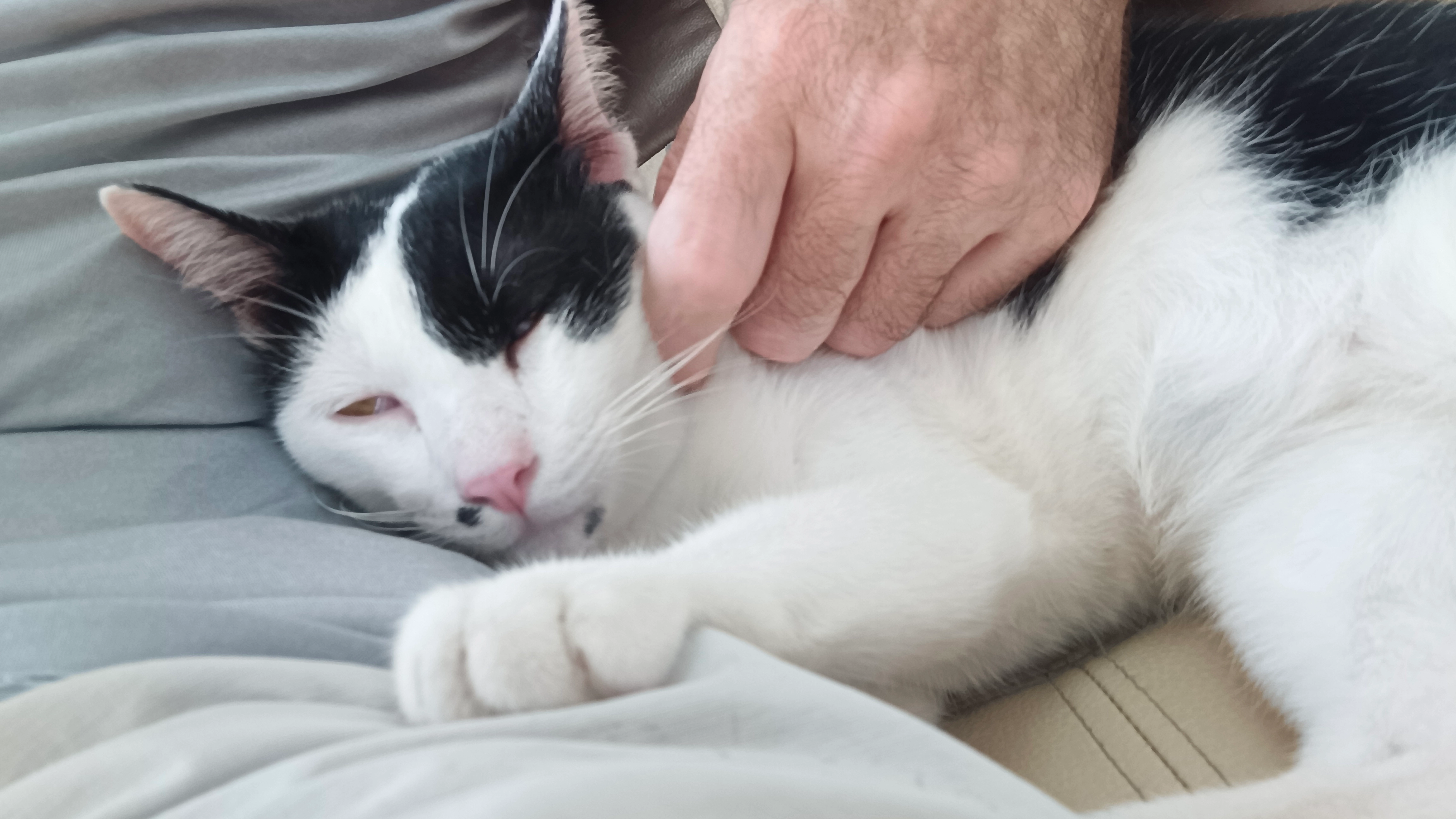 Euro - Soi Ramkhamhaeng, Bangkok