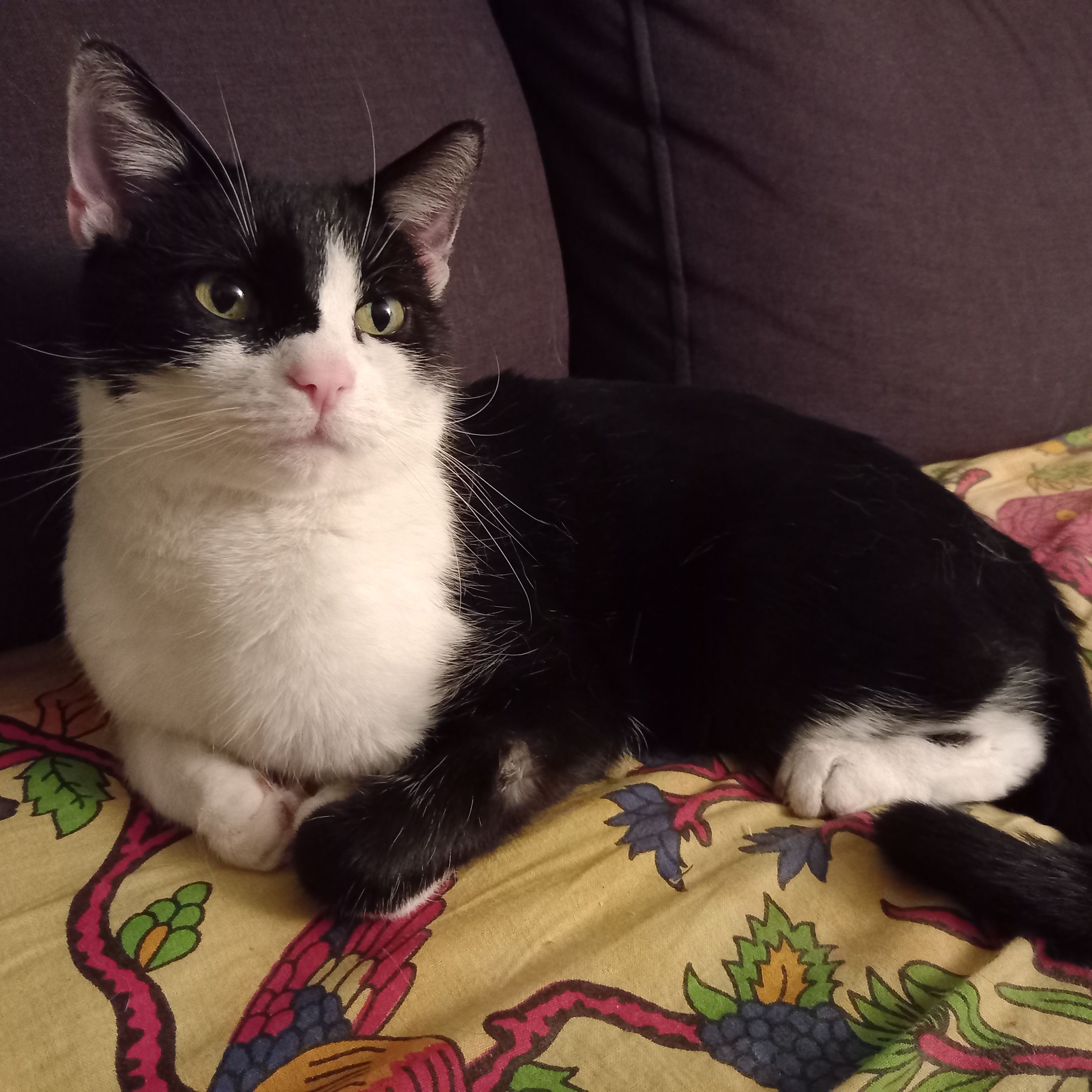 Otis - Schloßberg, Dettelbach