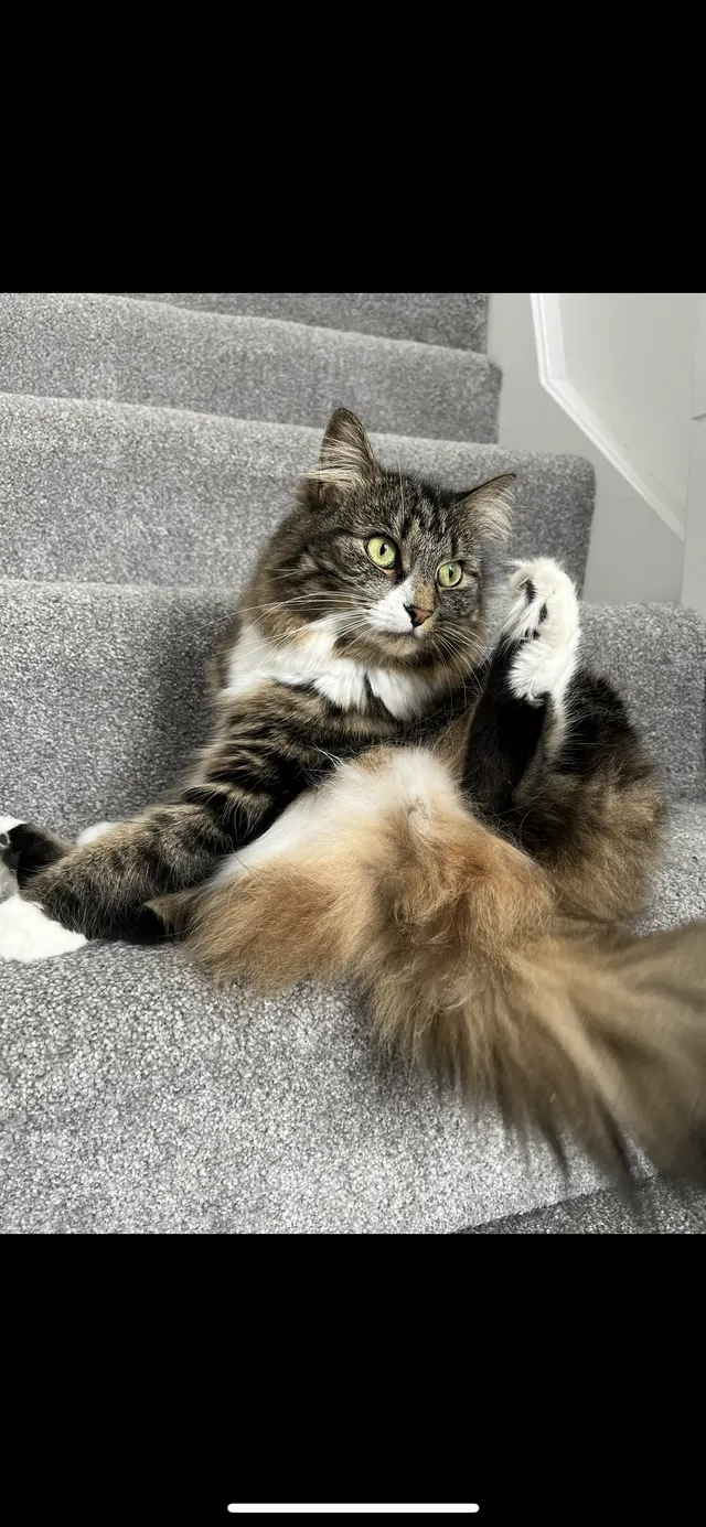 Luna - Hamilton Close, Norwich