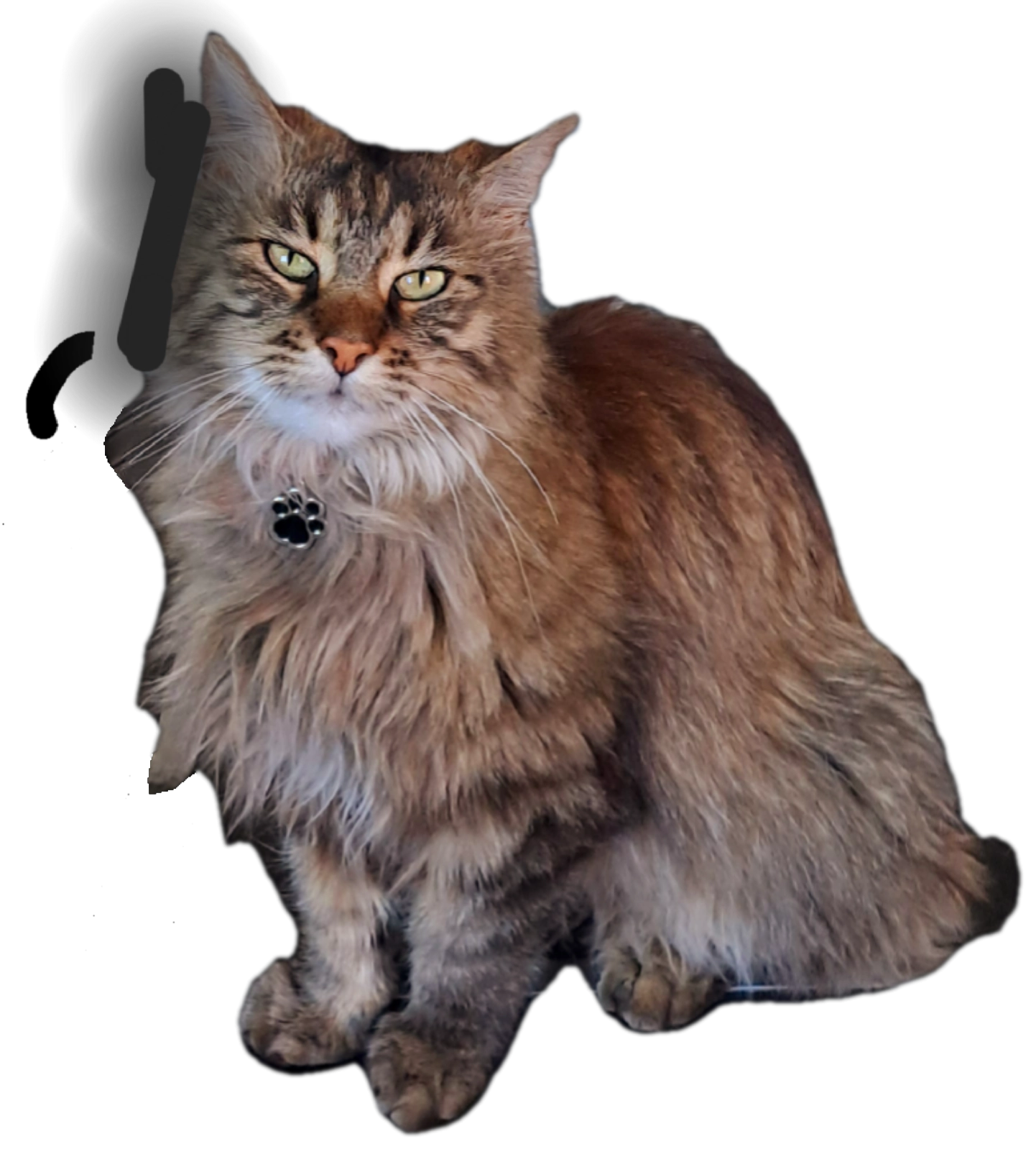 Rocky - Moosweg, Untergriesbach