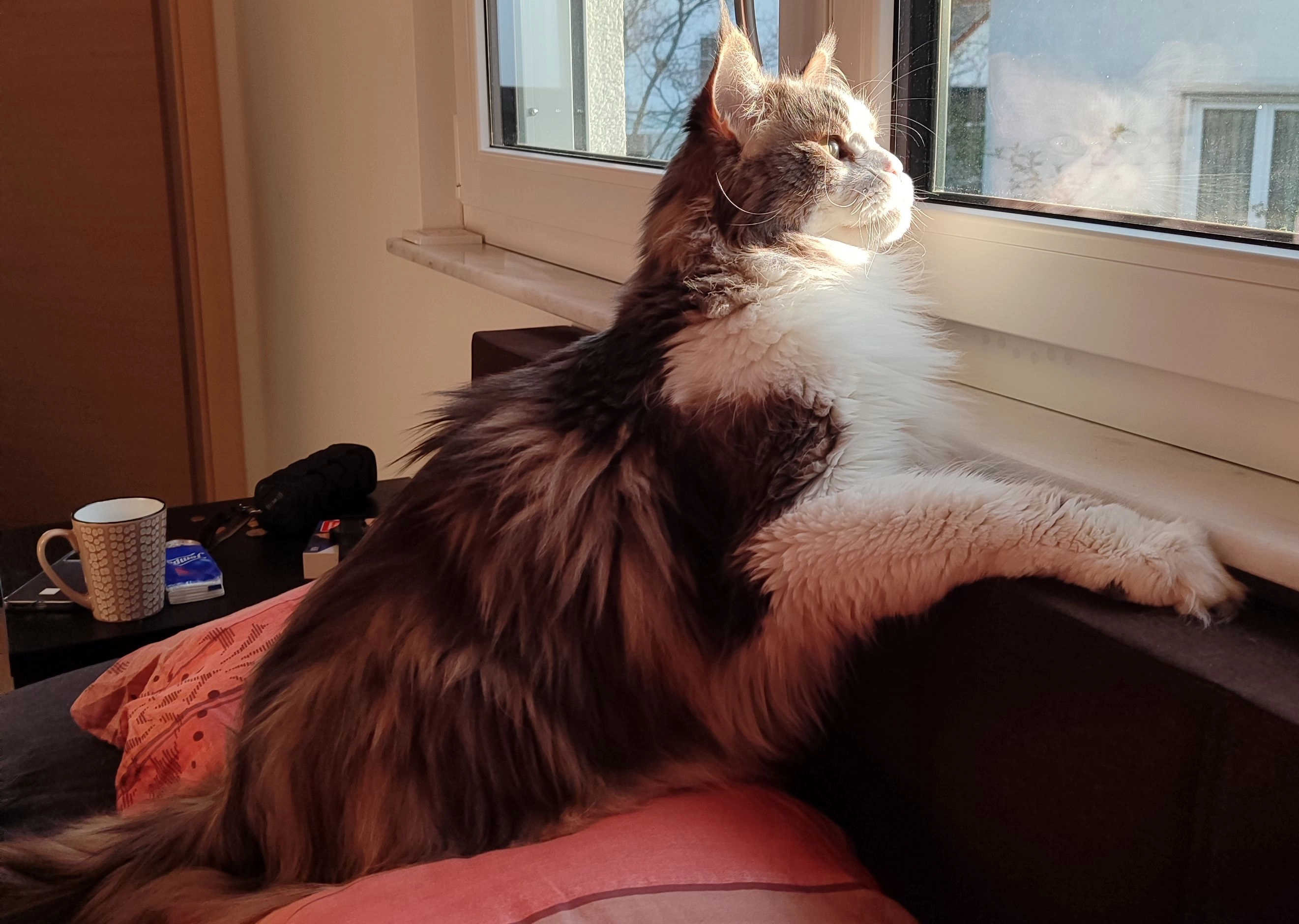 Karli - Augsburger Straße, Schrobenhausen