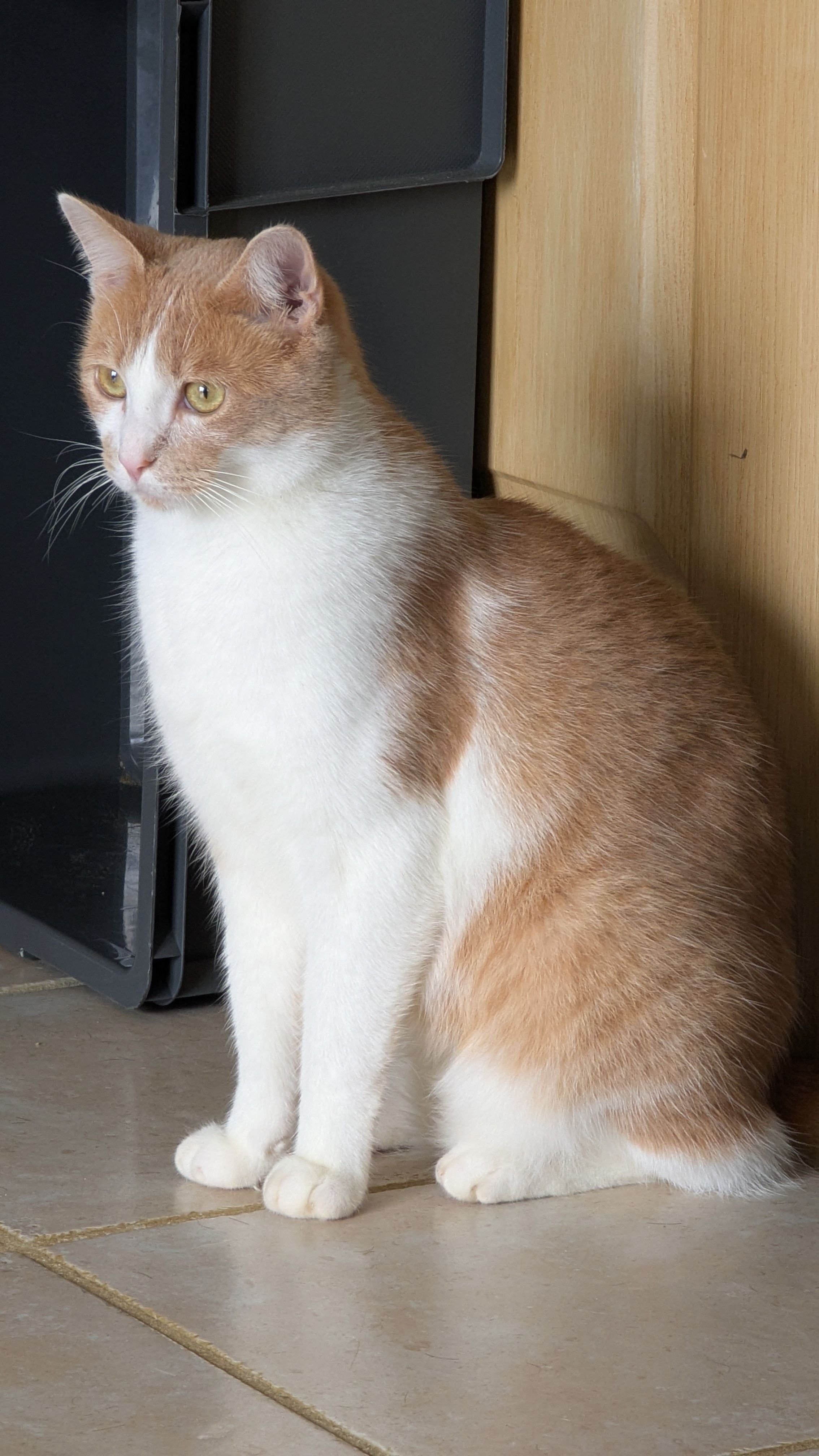 Nougat - Chemin Laurent Lagoutte, Chaumot