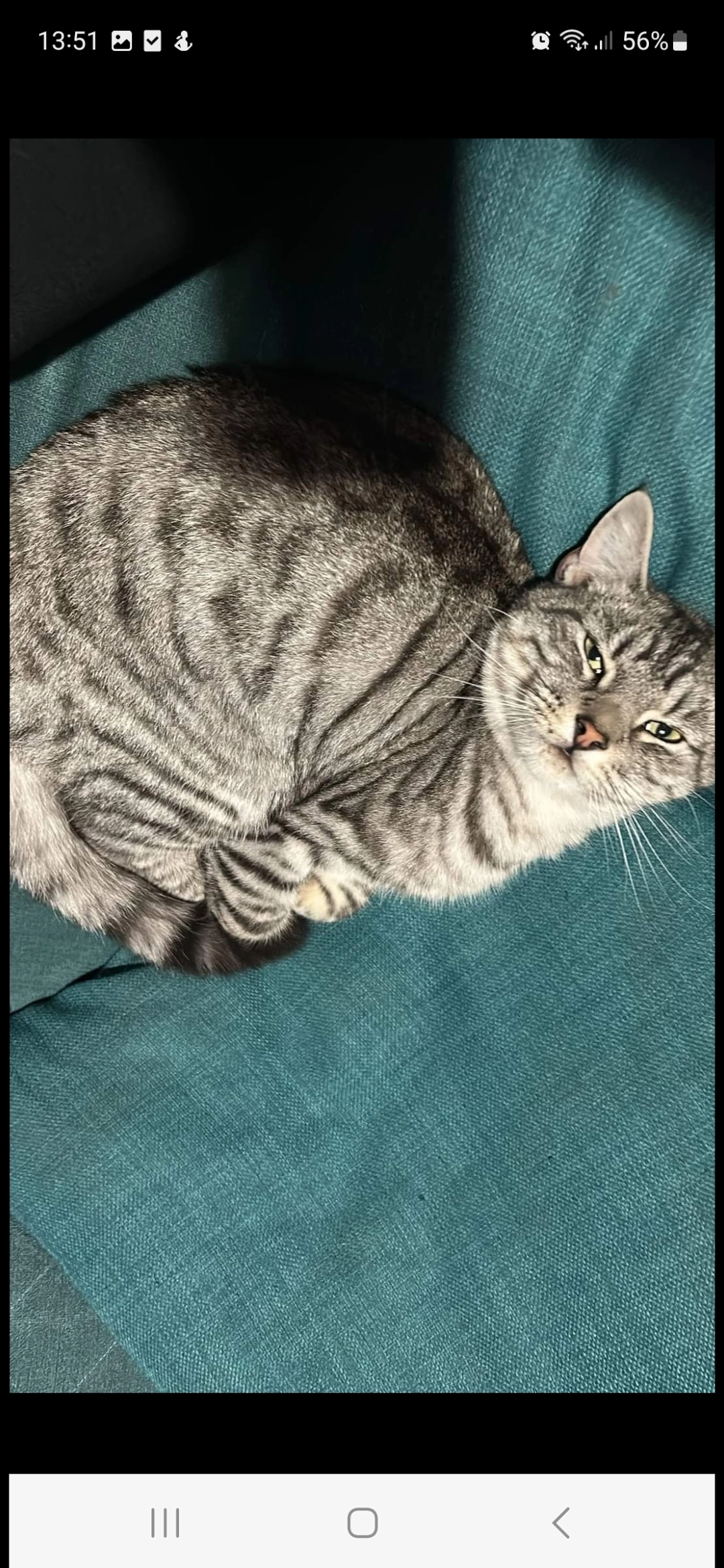 Axel  - YO43 4, York