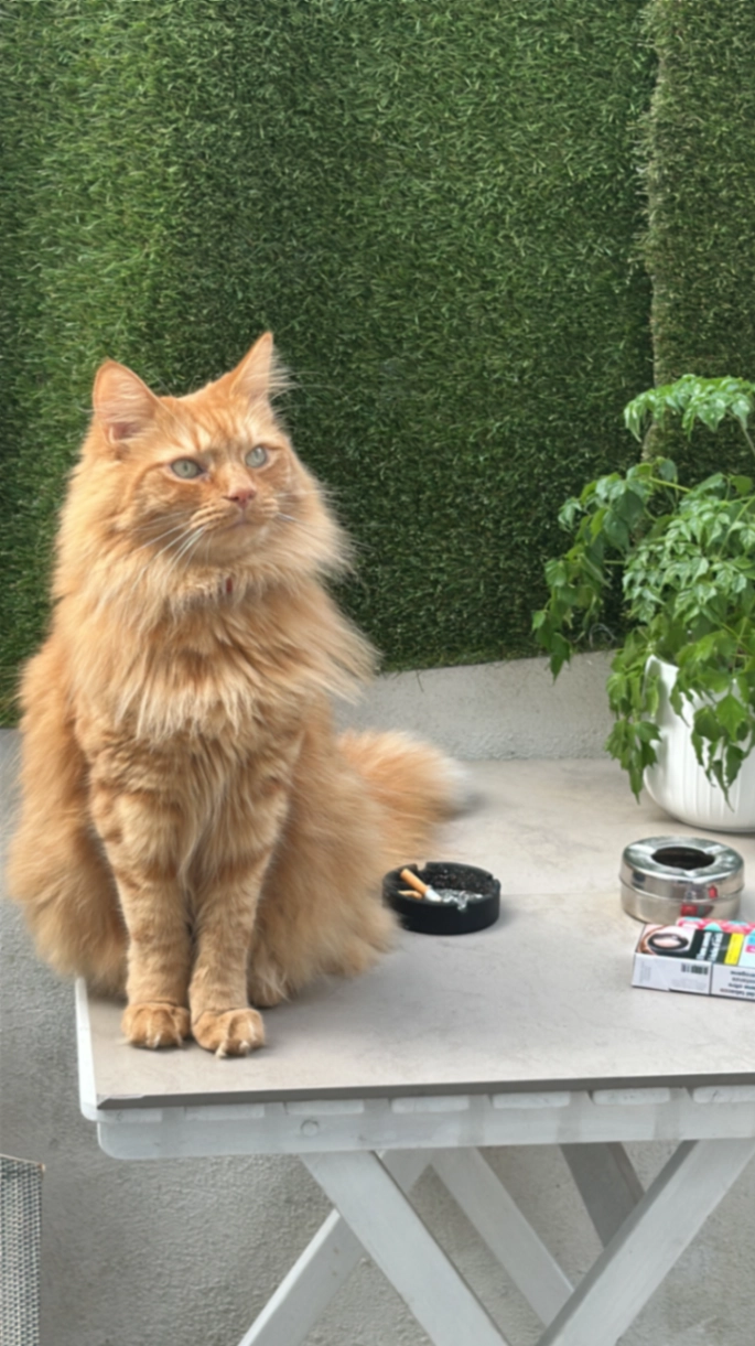 Skizzo - Battersea Park Road, London