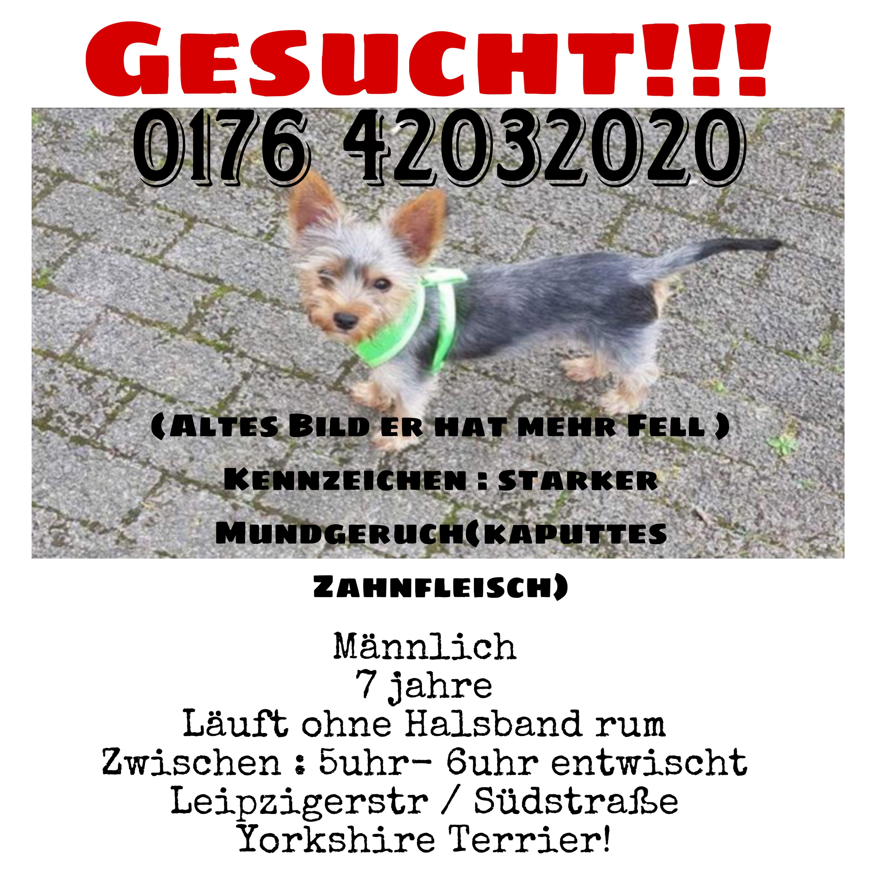 Stiffler  - Leipziger Straße, Leipzig