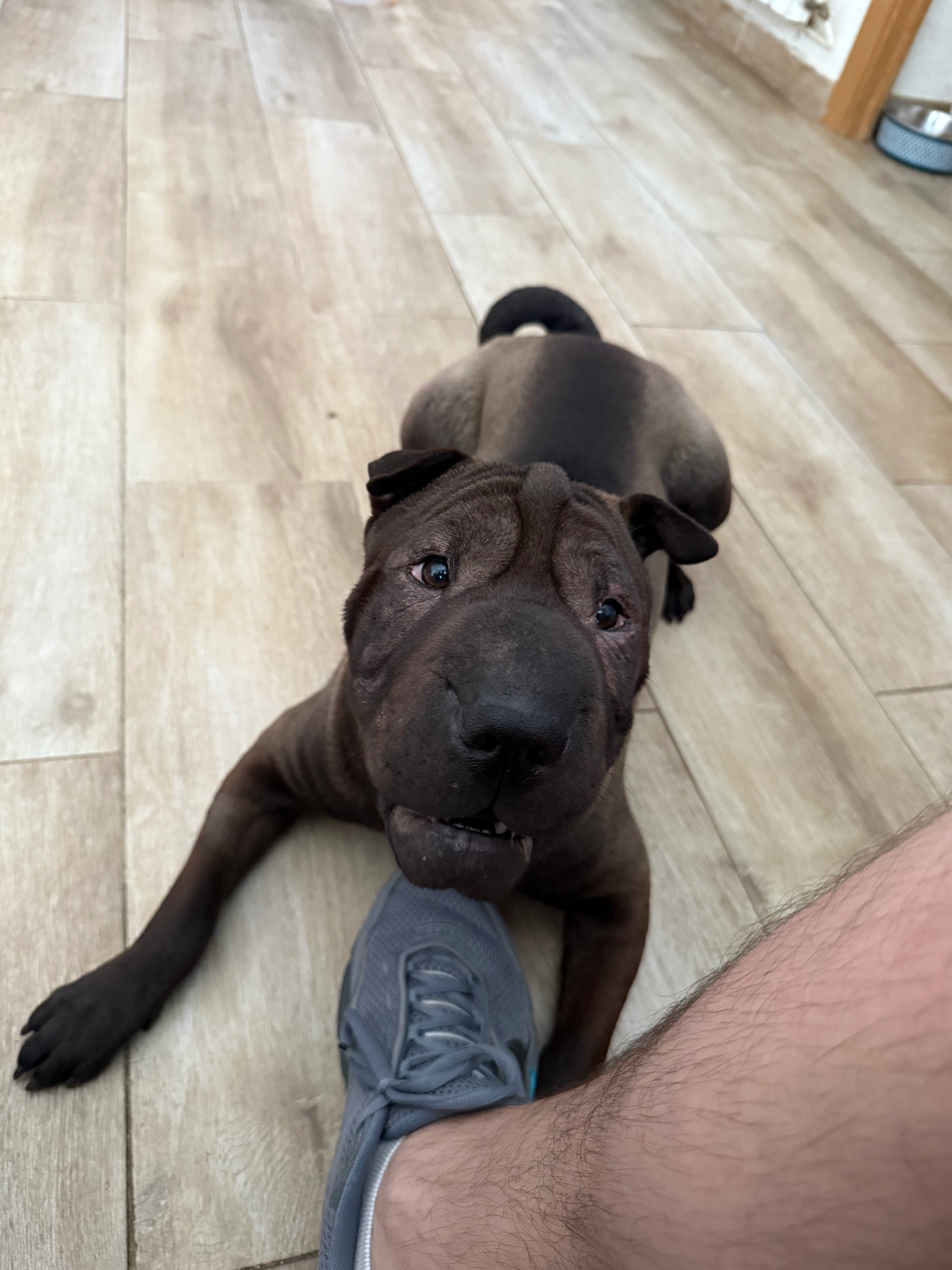 Keyla  - Calle de la Sierra Vieja 59, Madrid