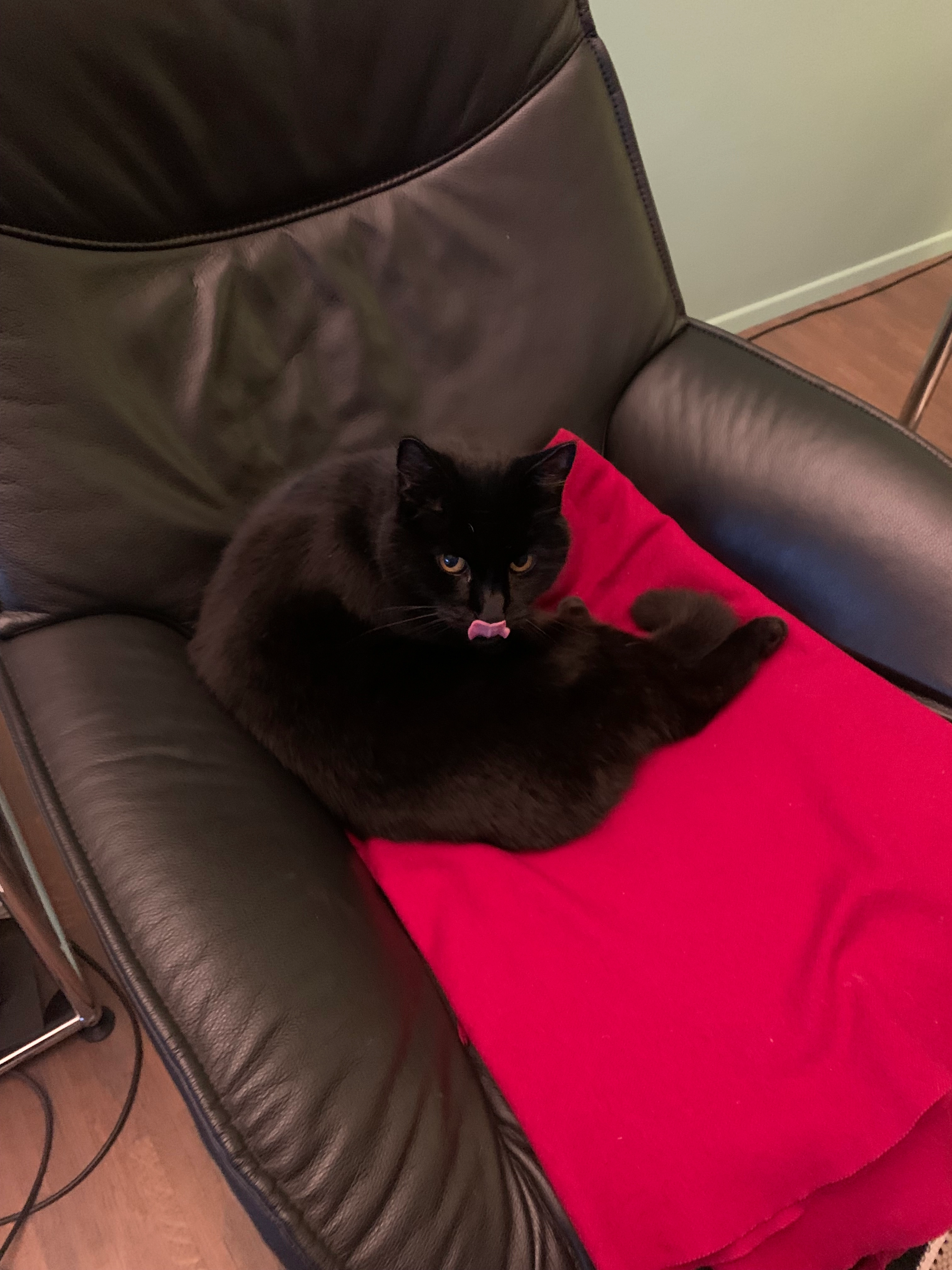 Miro - Schlossstrasse 154 / Krauchtal, 3067 Boll