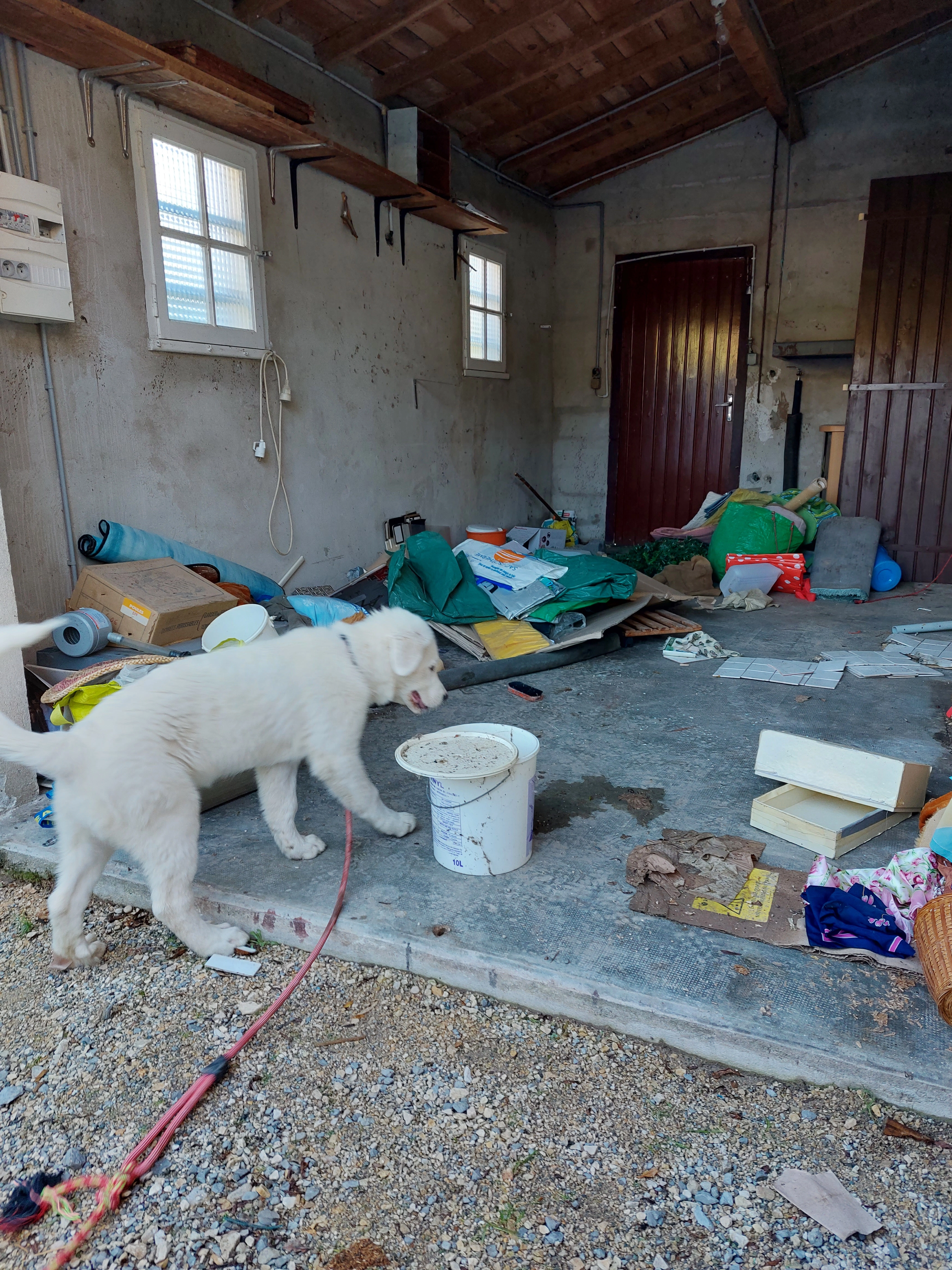 Tina - 1181 Route de Rodez, Cransac