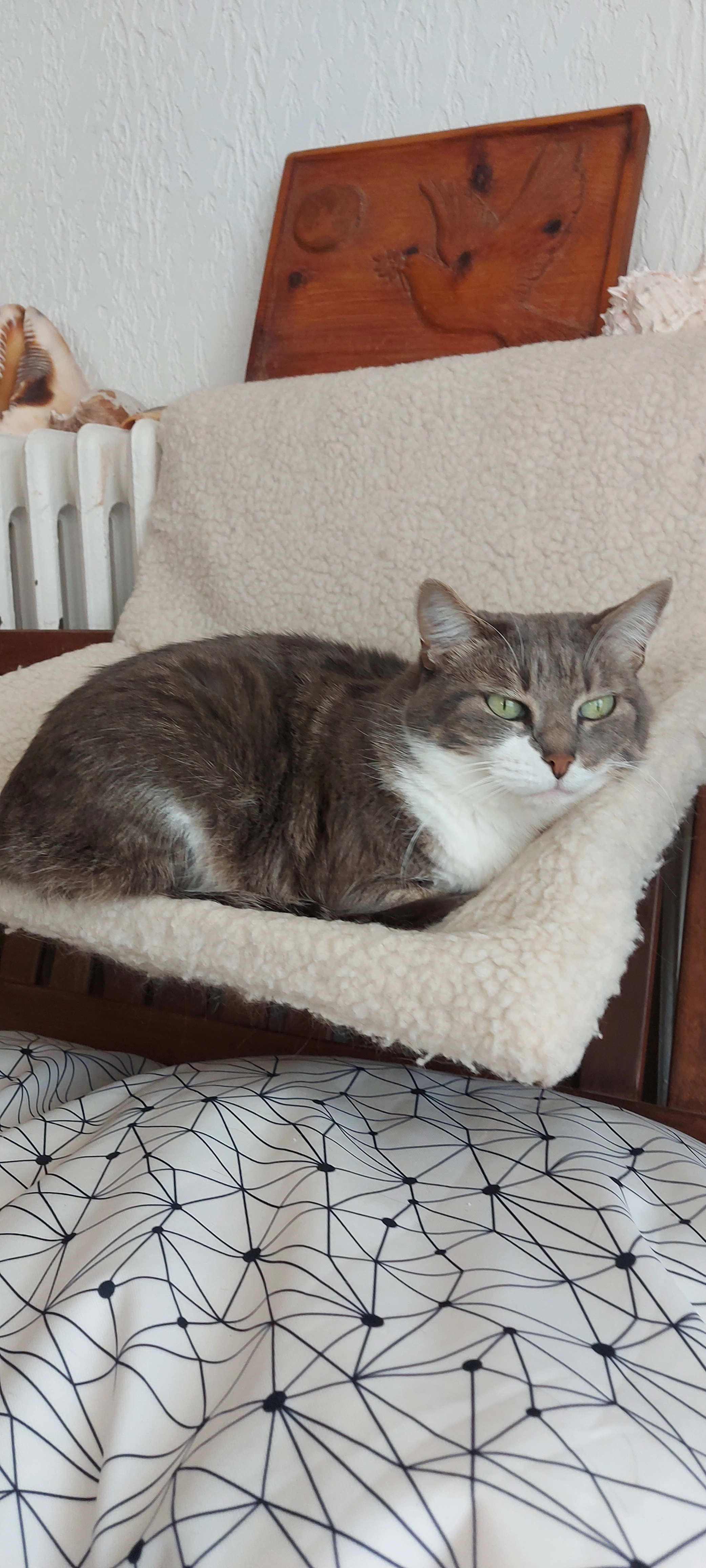 Maya - 24 Rue Saint-Jacques, Montpellier