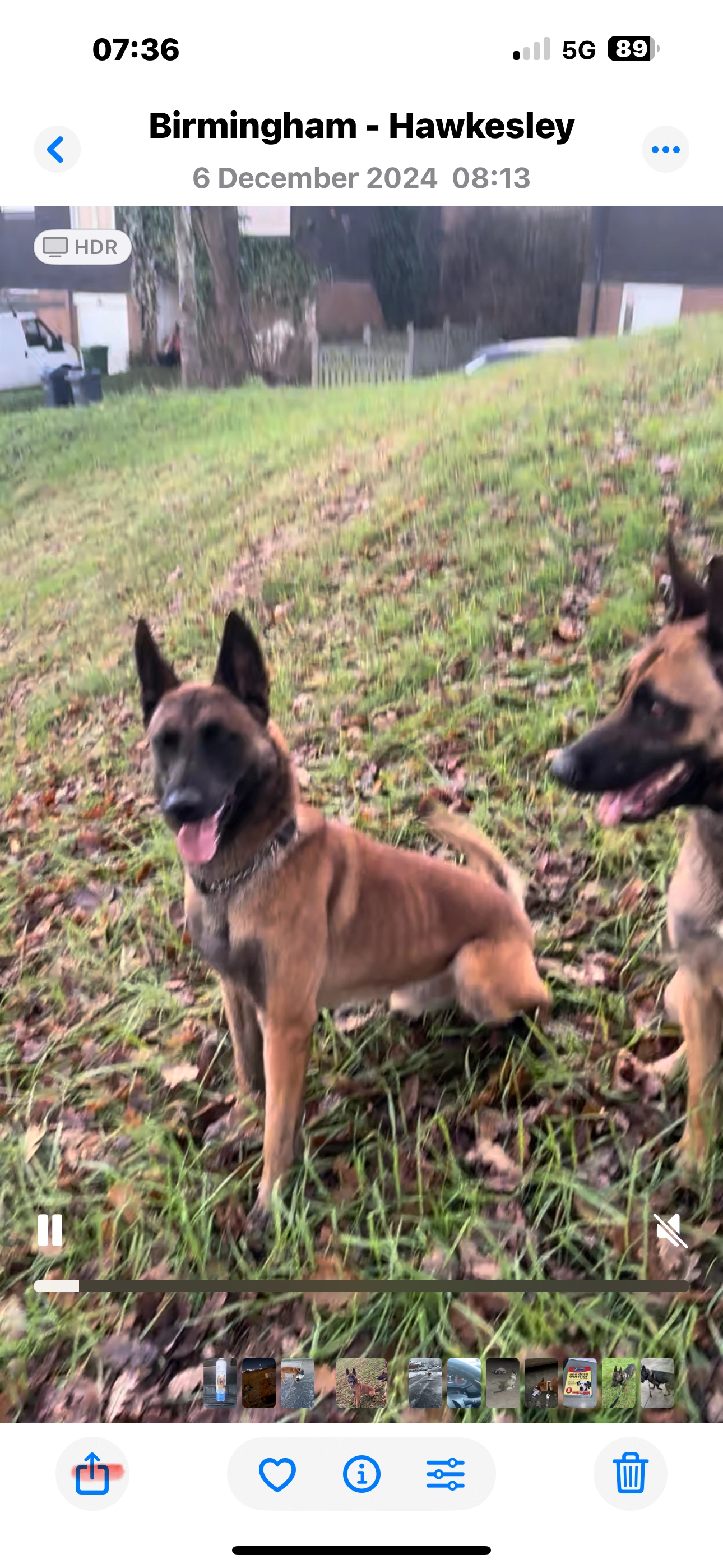 Grandy - B38 9, Birmingham