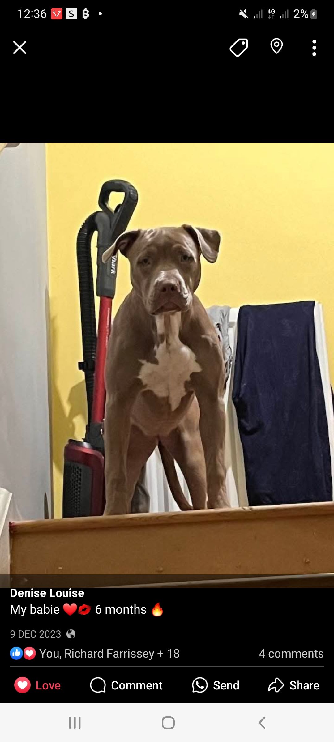 Lola - Park Lane, Birmingham