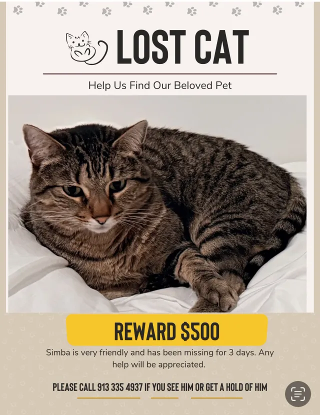 Simba - College Boulevard, Overland Park