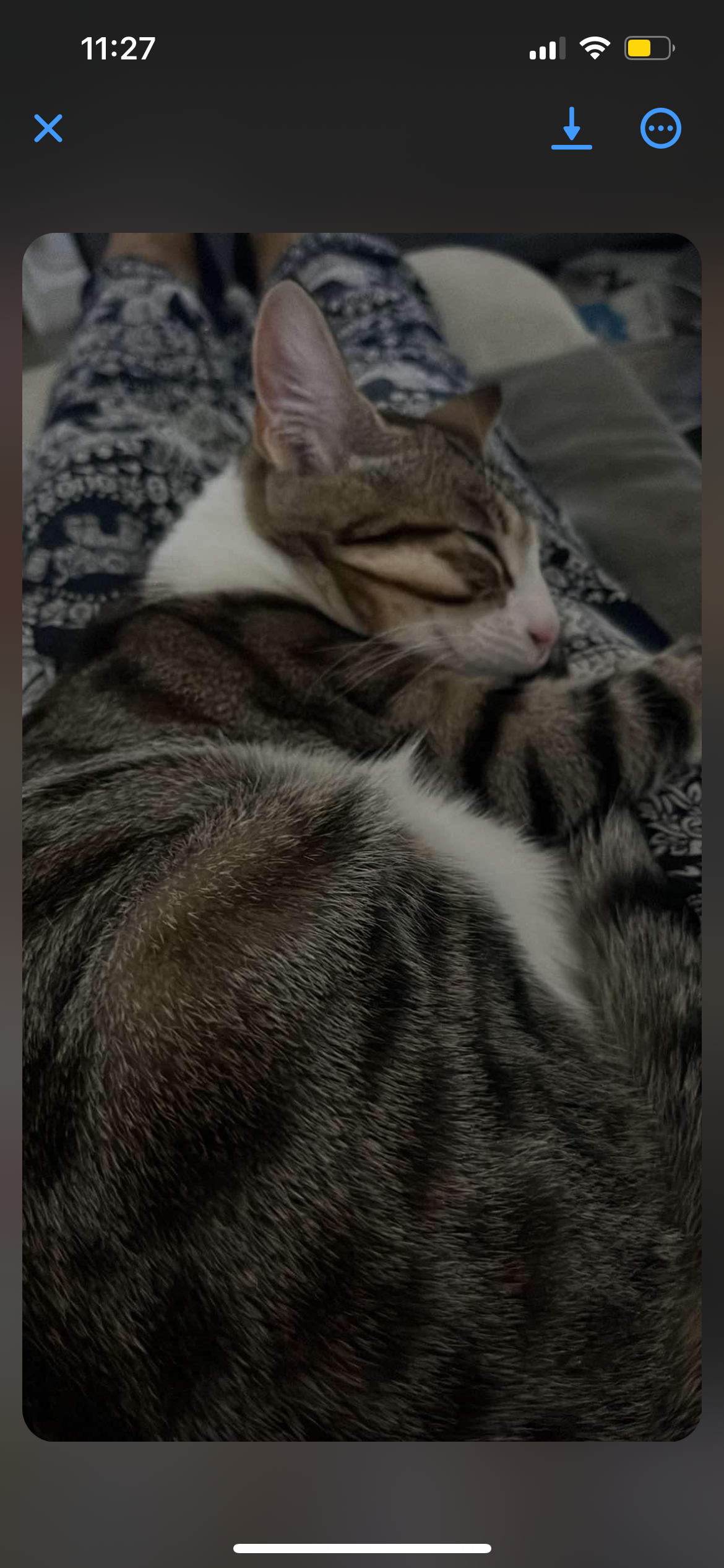 Stella - 8 Rue Henri Matisse, Montbrison