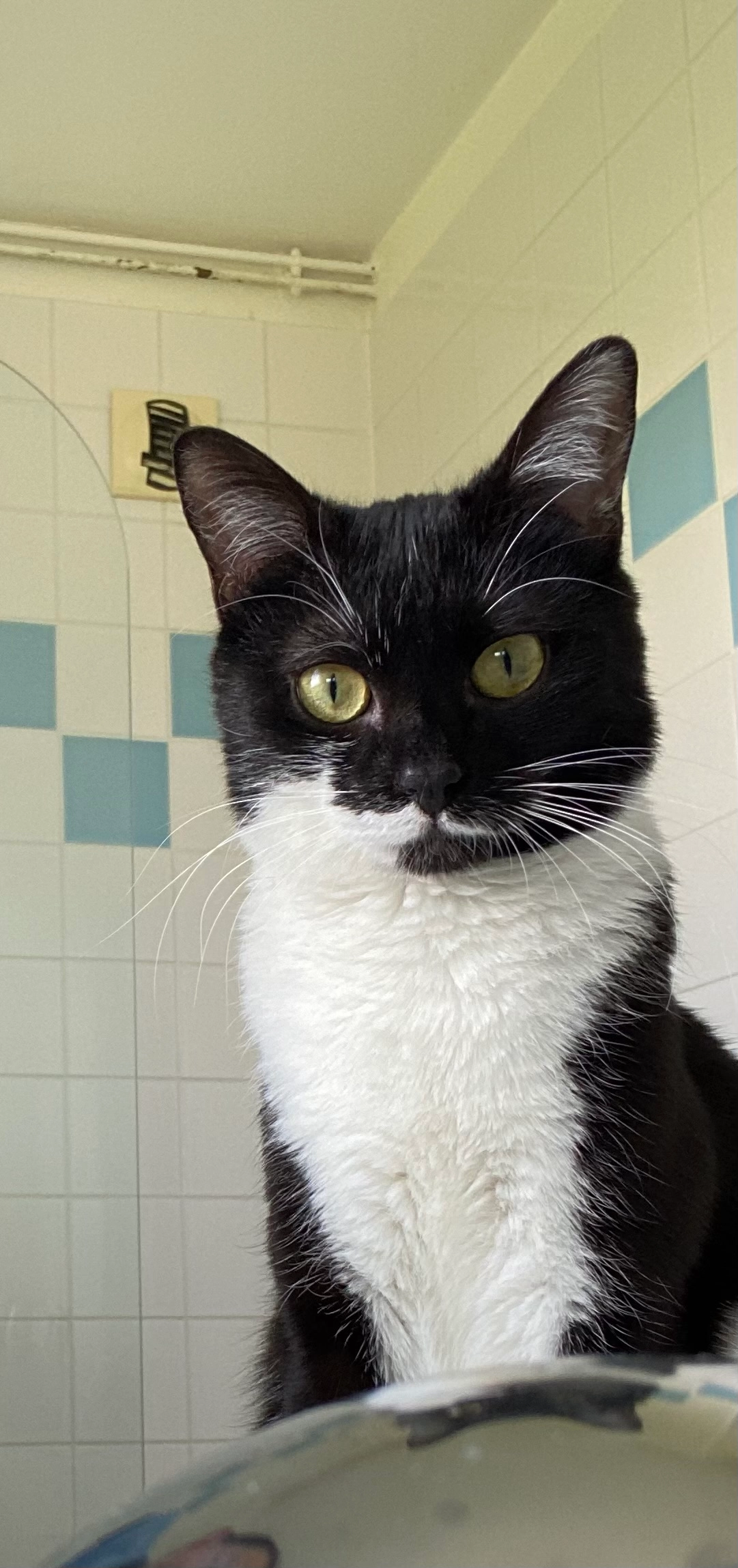 Plume - 1 Avenue Jean Moulin, Belfort