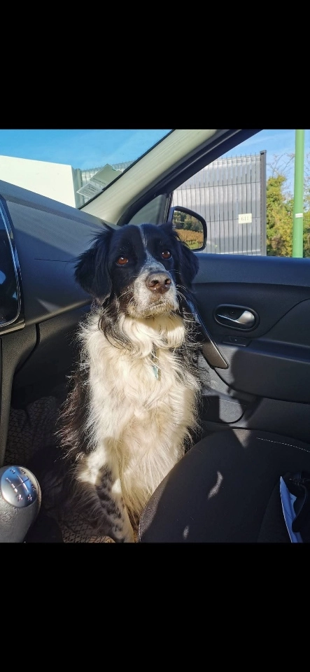 Leny - Chemin de Brignon à Cruviers Lascours, Brignon