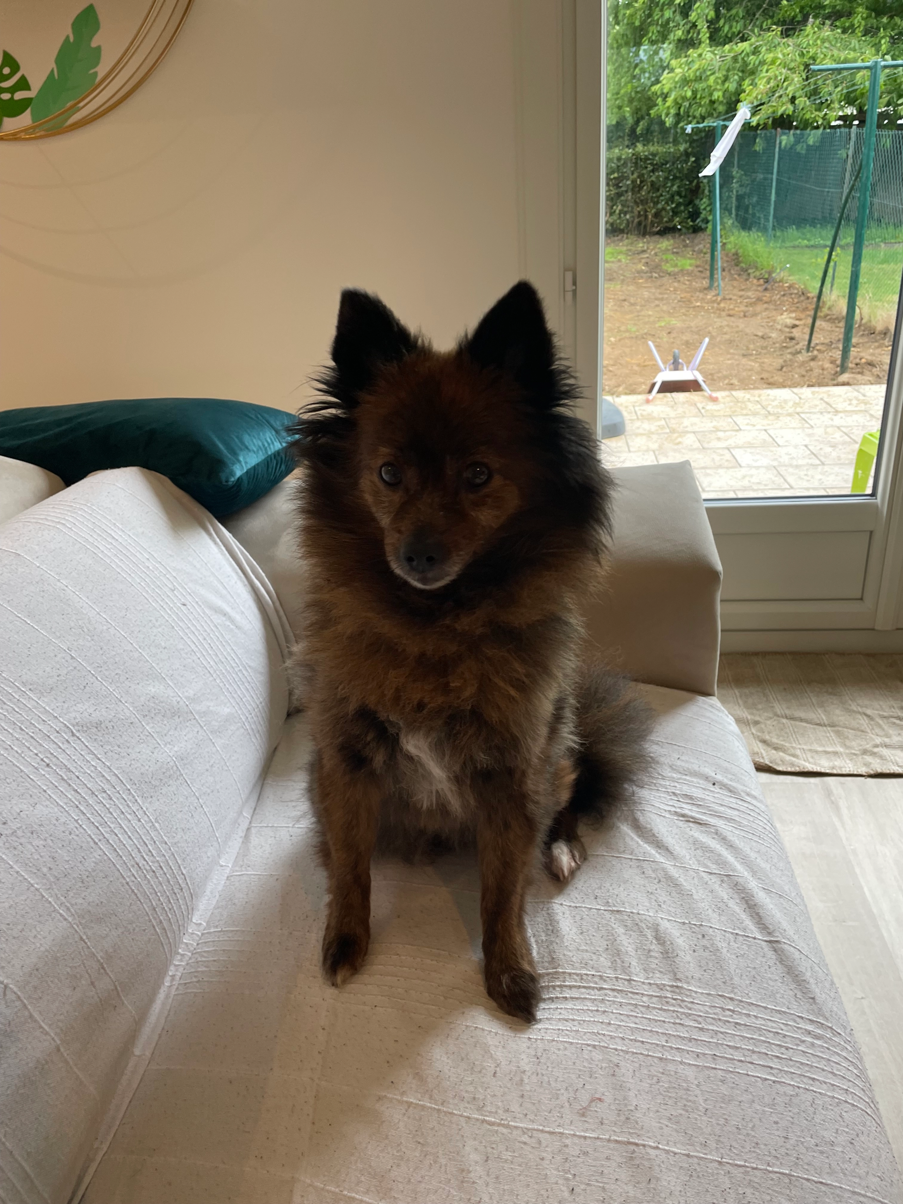 Ilina - Avenue Lamartine, La Queue-en-Brie