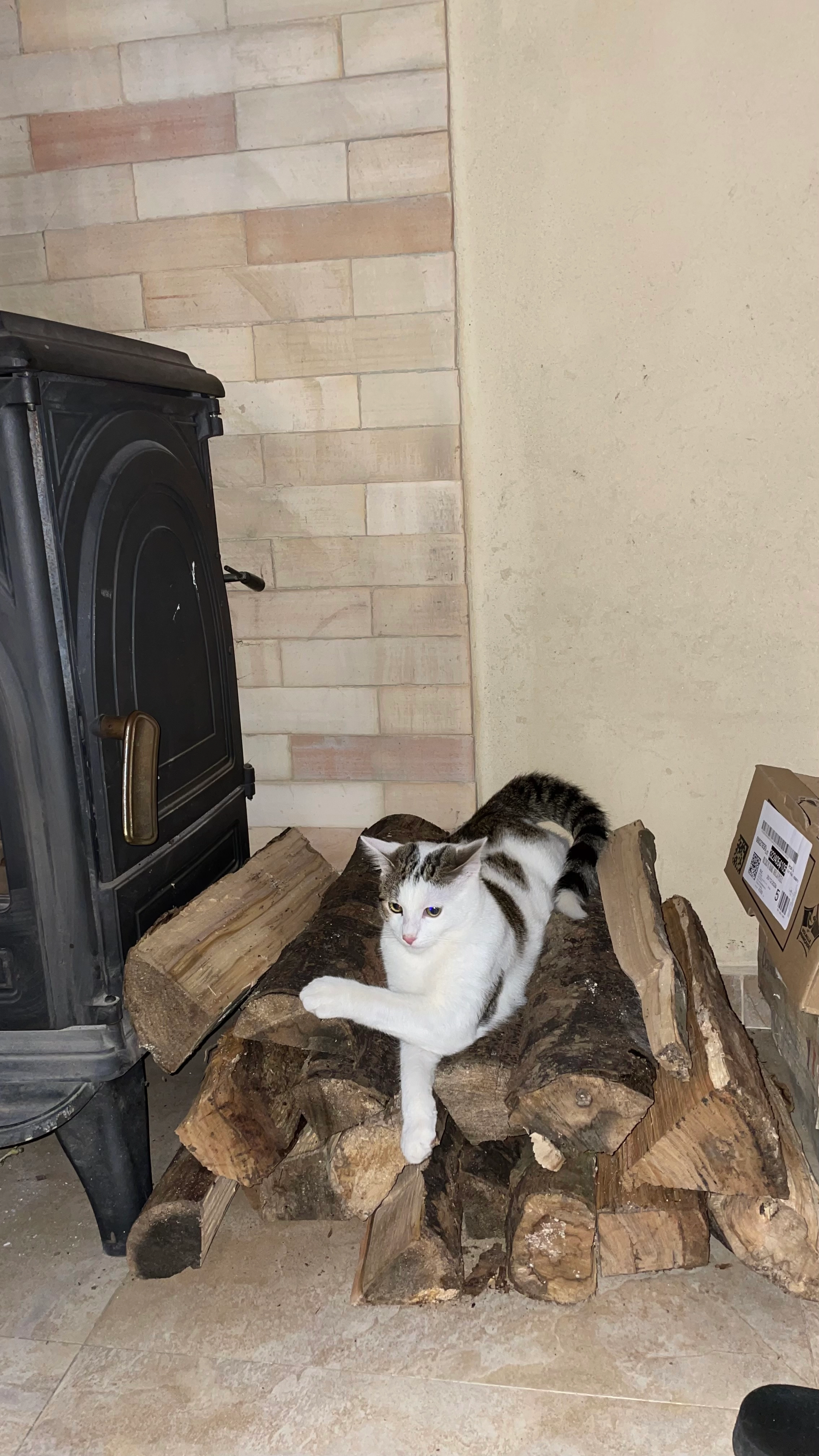 Jack - 8 Rue du Clos, Mauges-sur-Loire