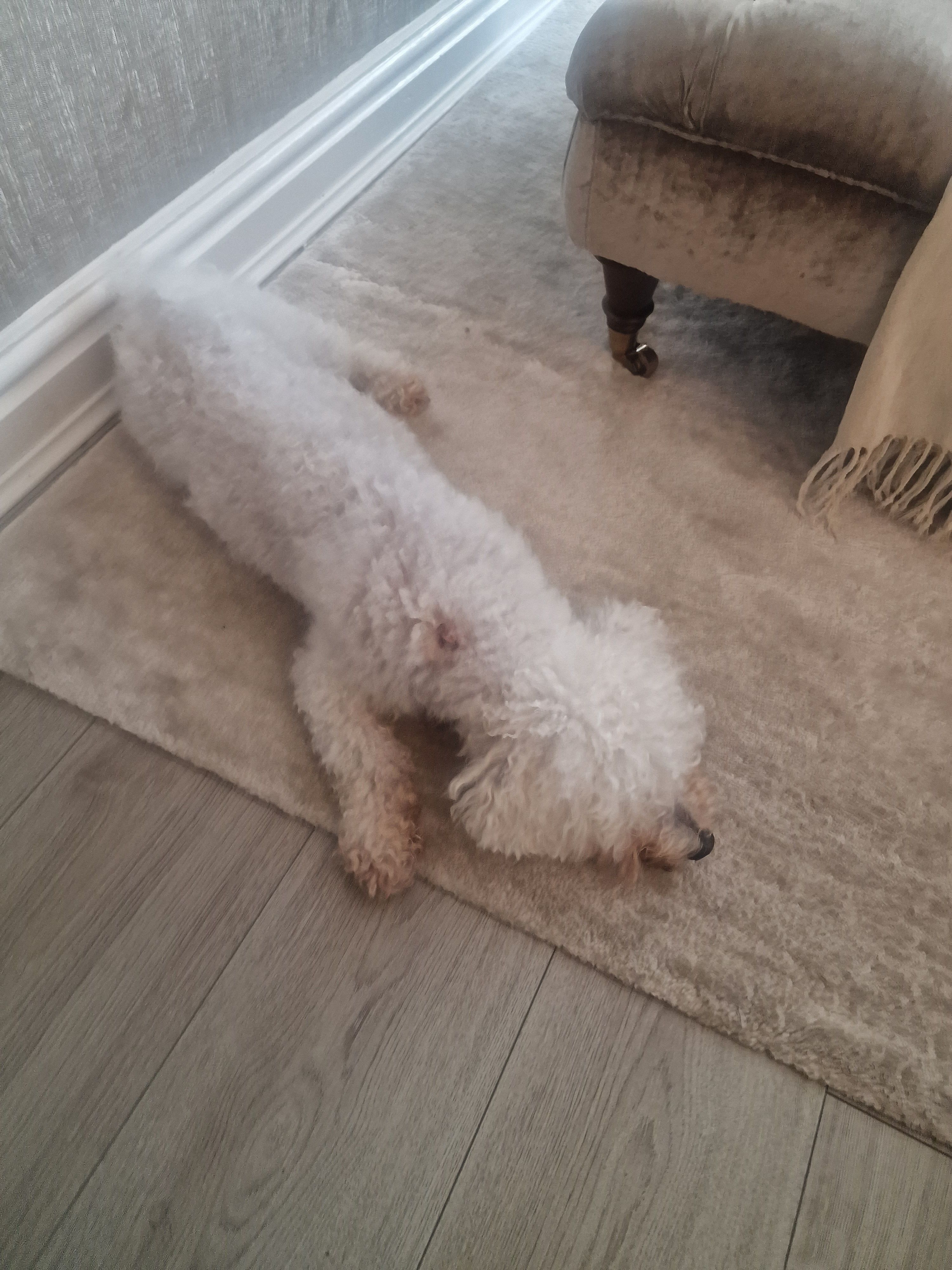 Finley  - Chatterton Road, Liverpool