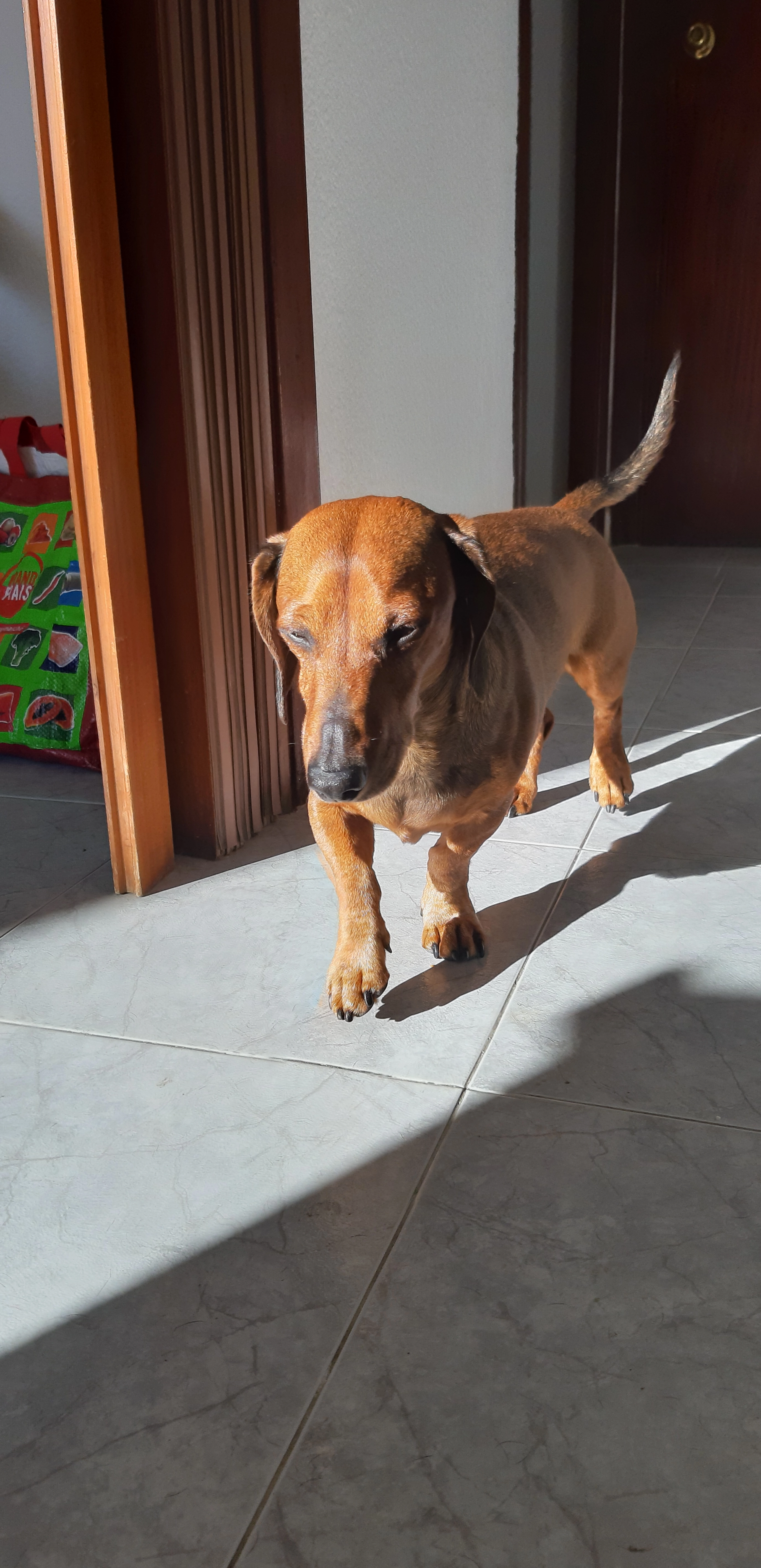 Lucky - Rue Du Docteur Yvon Vieux, Vias