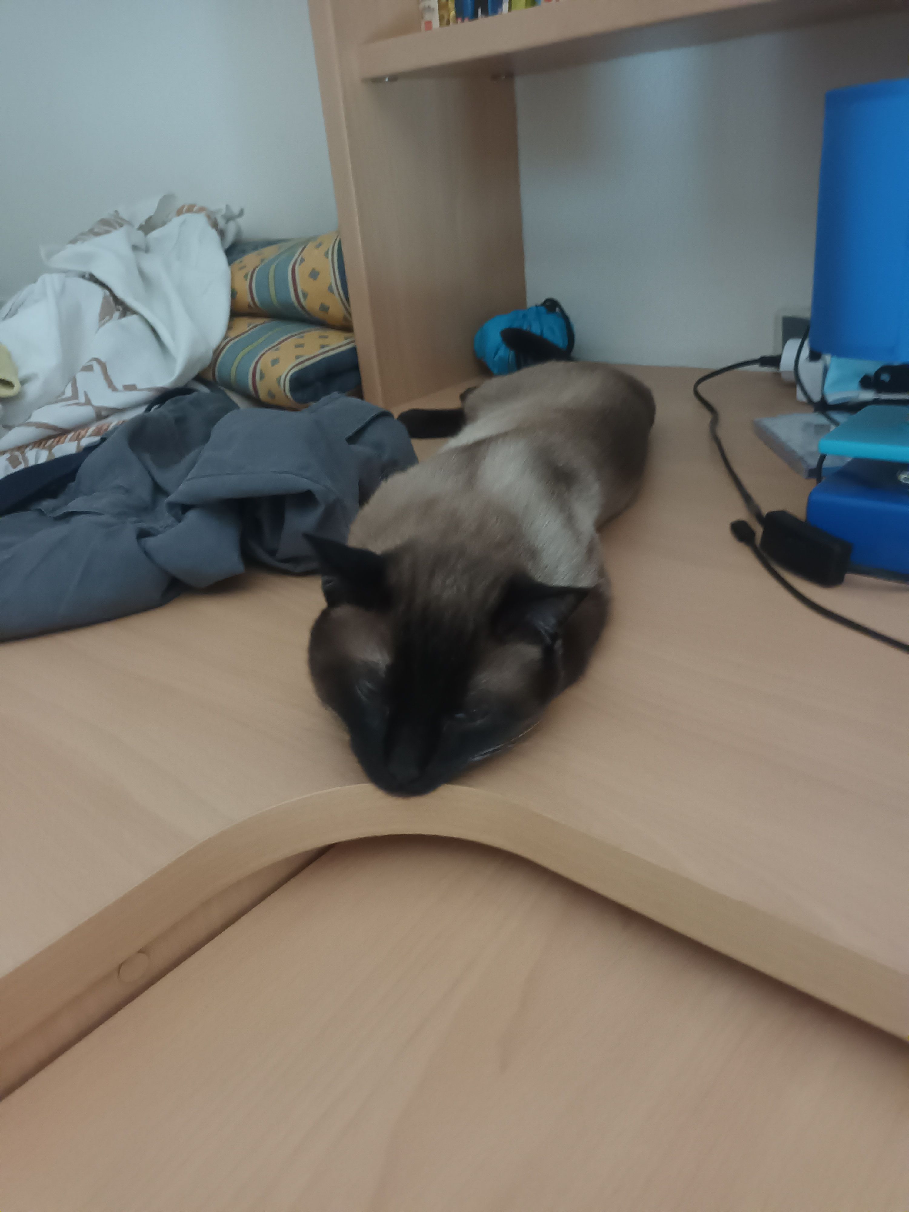 Sir - Sofán, Carnota