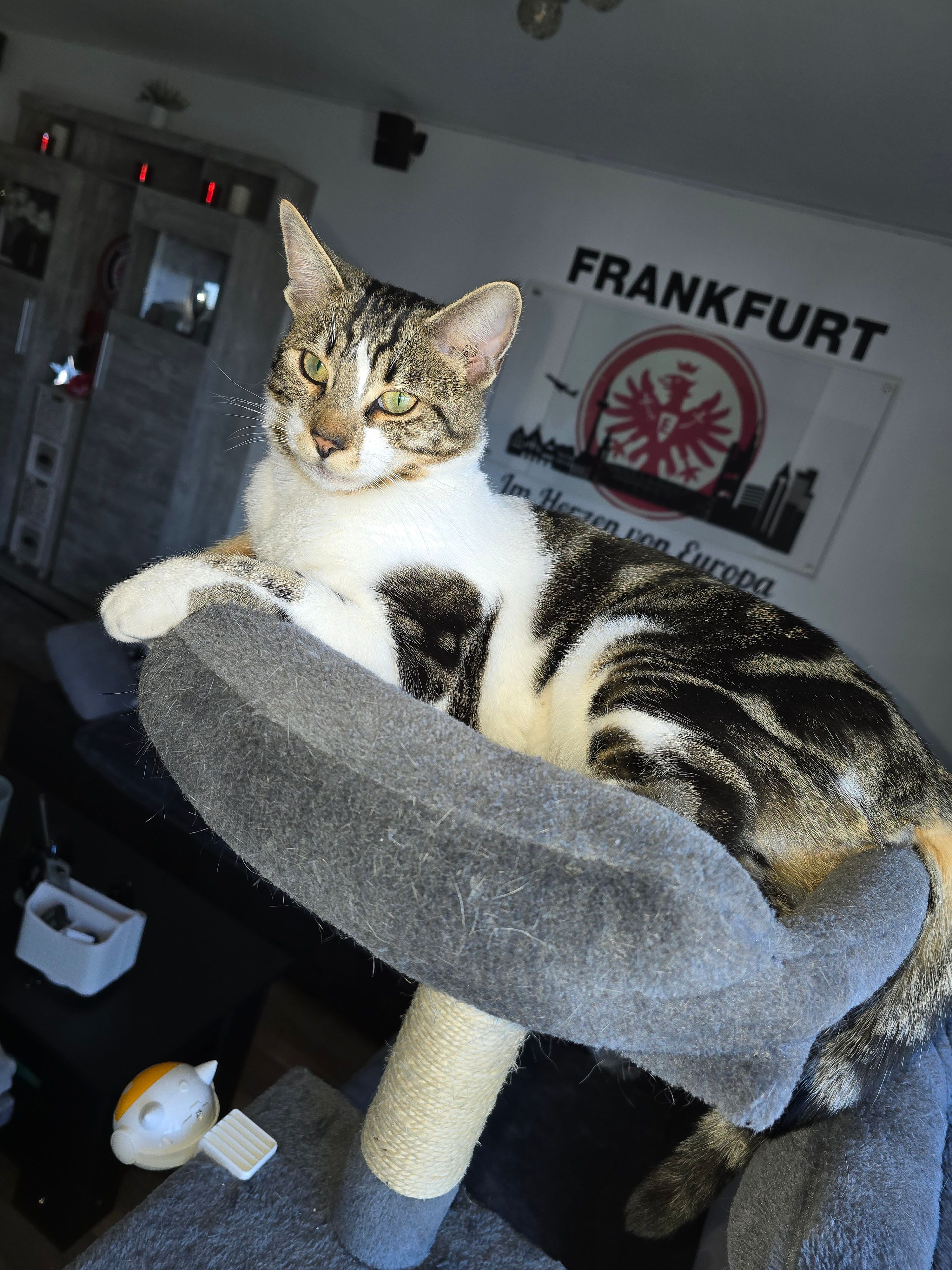 Djego  - Hauptstraße, Burgwald