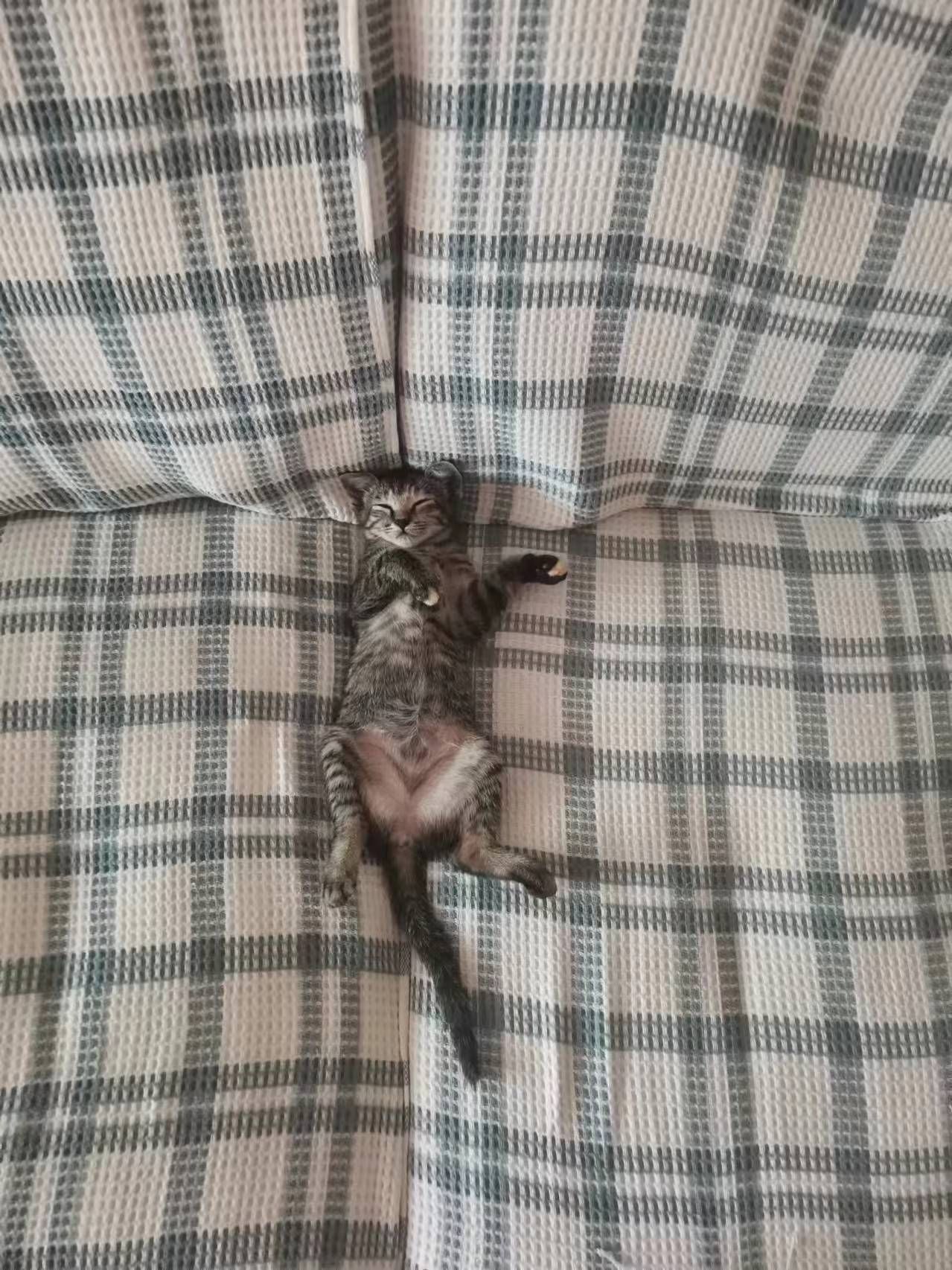 Luna - 34200, Kerian