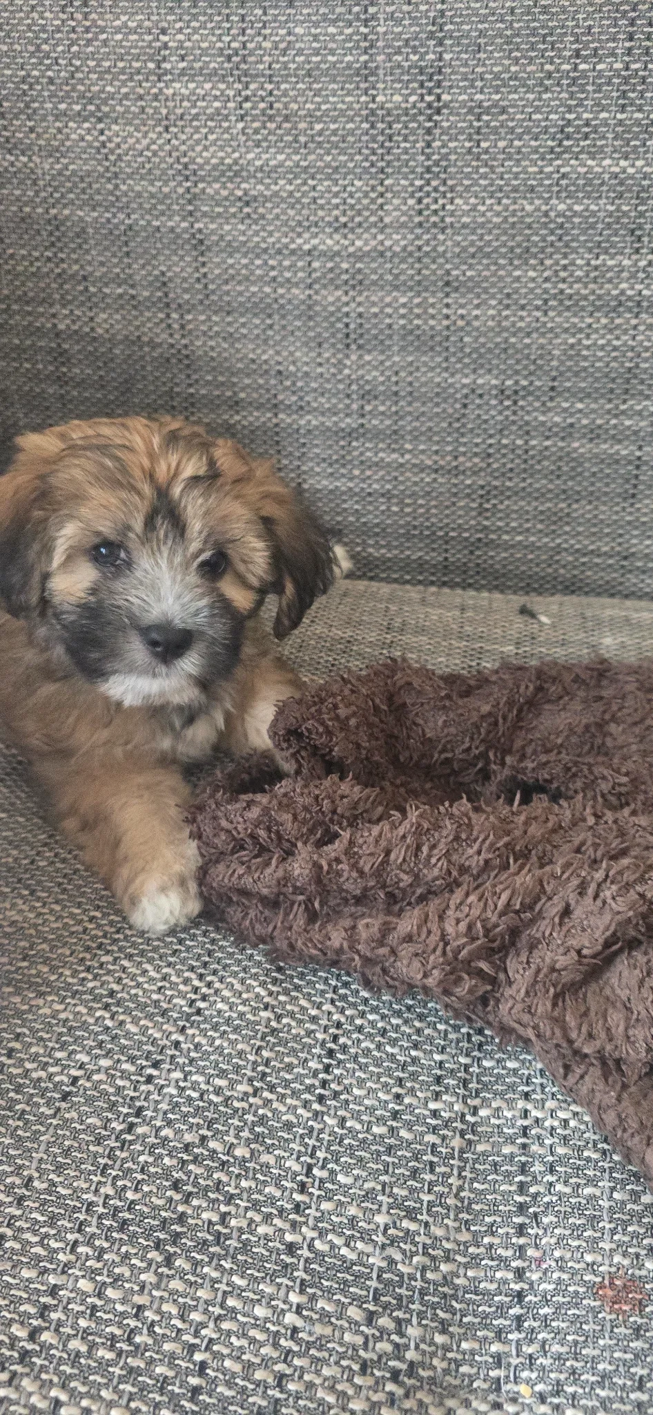 Norocel - Saint Albans Road, Ilford