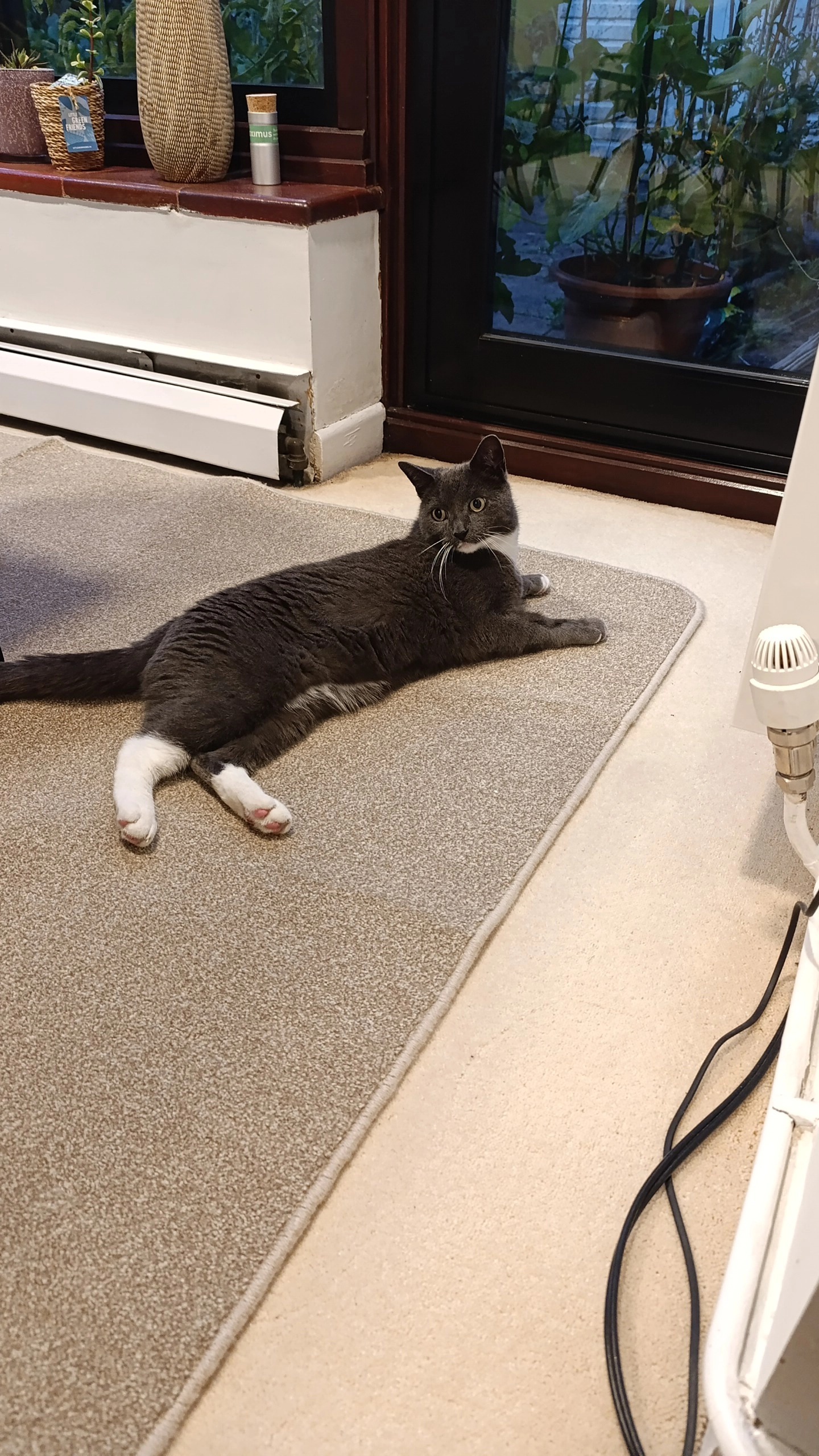 Jeff - Abbotts Way, Southampton