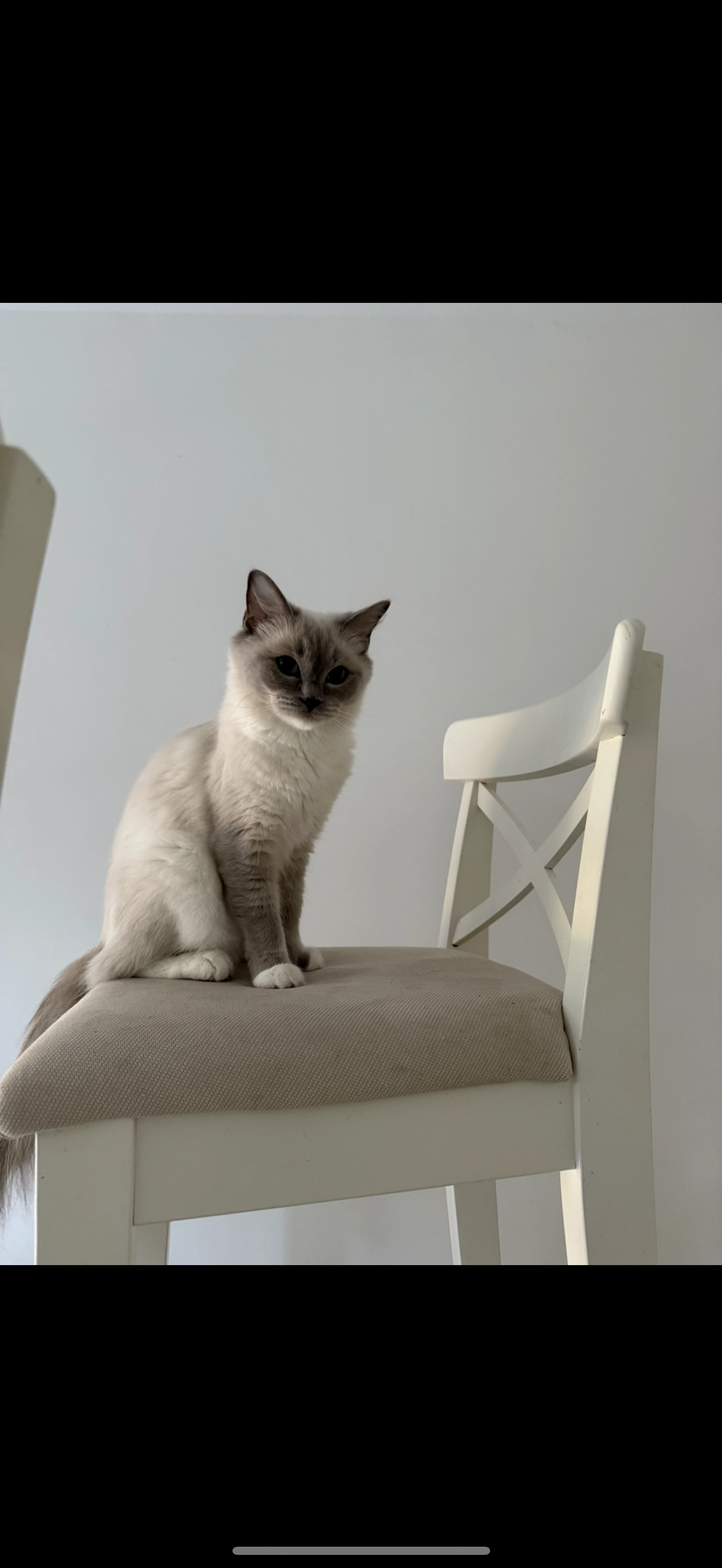 TIYA - Rue De La Butte Aux Merles, Le Plessis-Bouchard