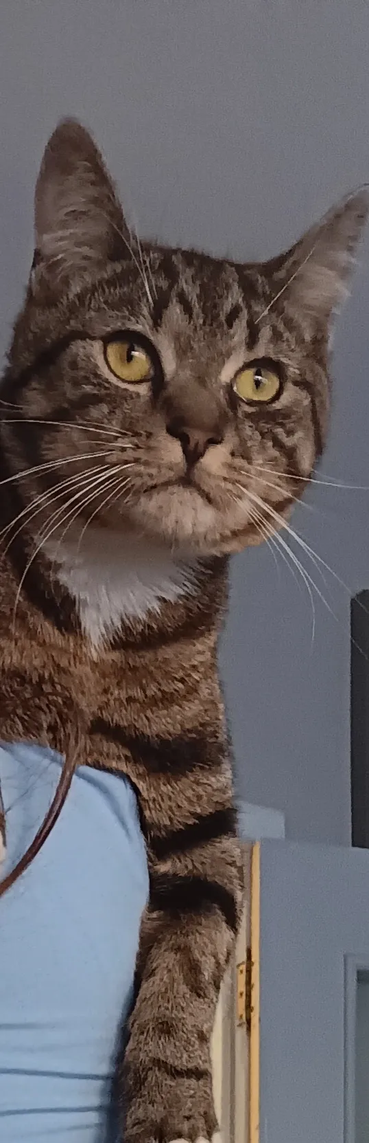 Mr - KT6 5, Surbiton