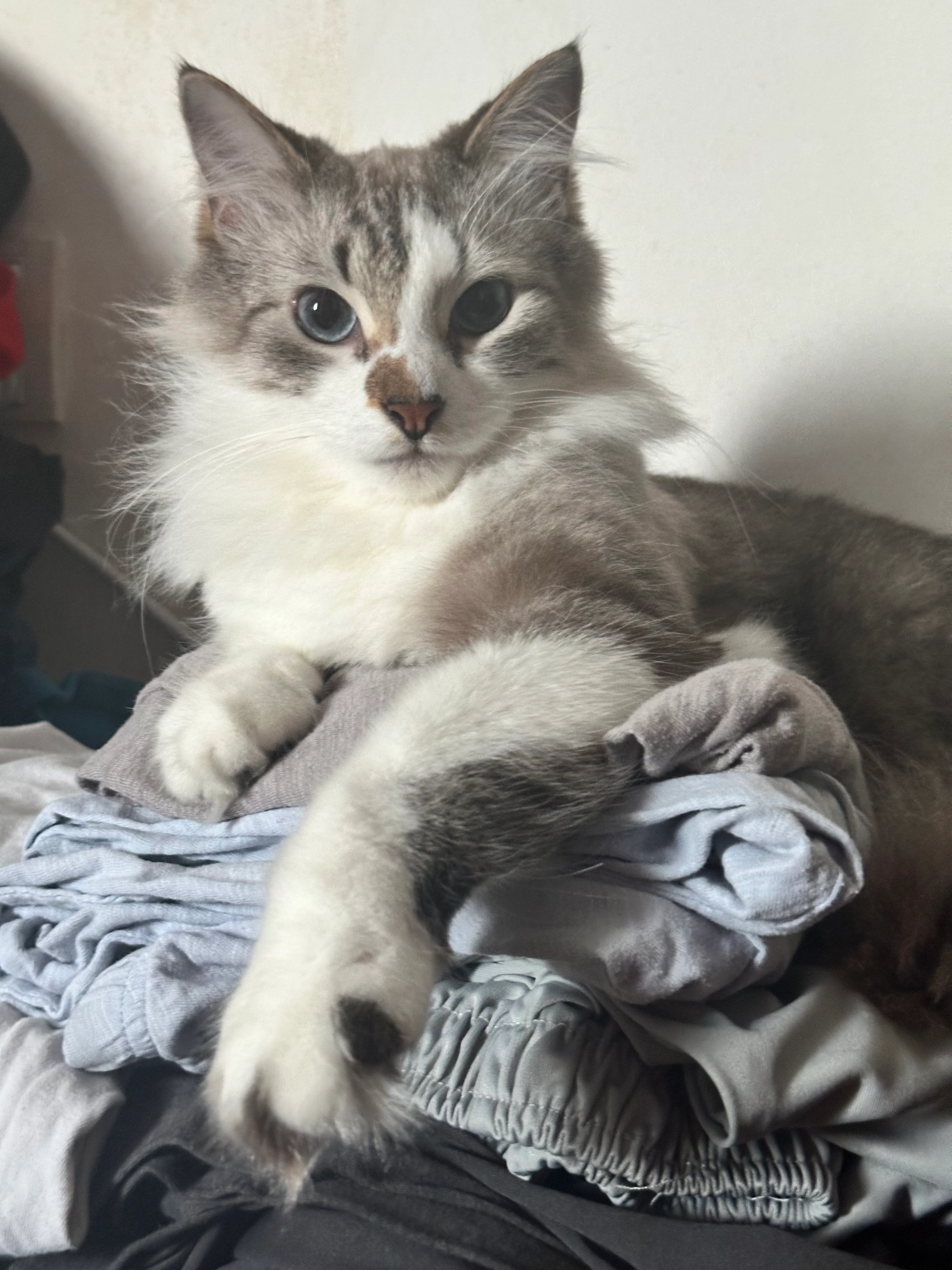 Yuki - 43650, Bandar Baru Bangi