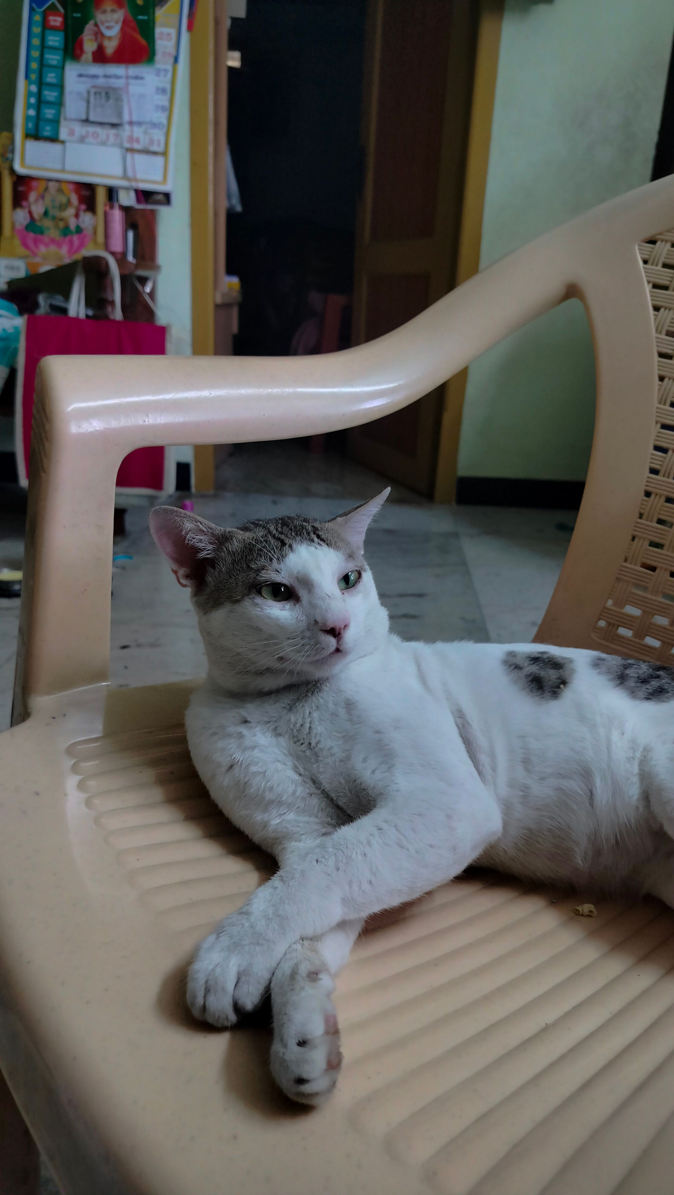 Furie - Kamaraj By Pass Road, Virudhunagar