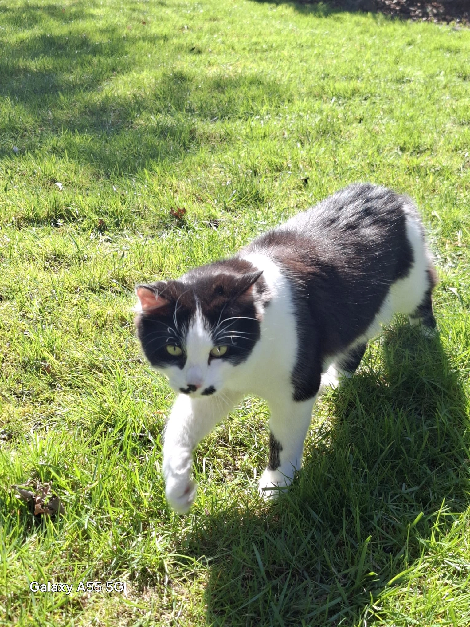 Simba - Hauptstraße, Wirscheid