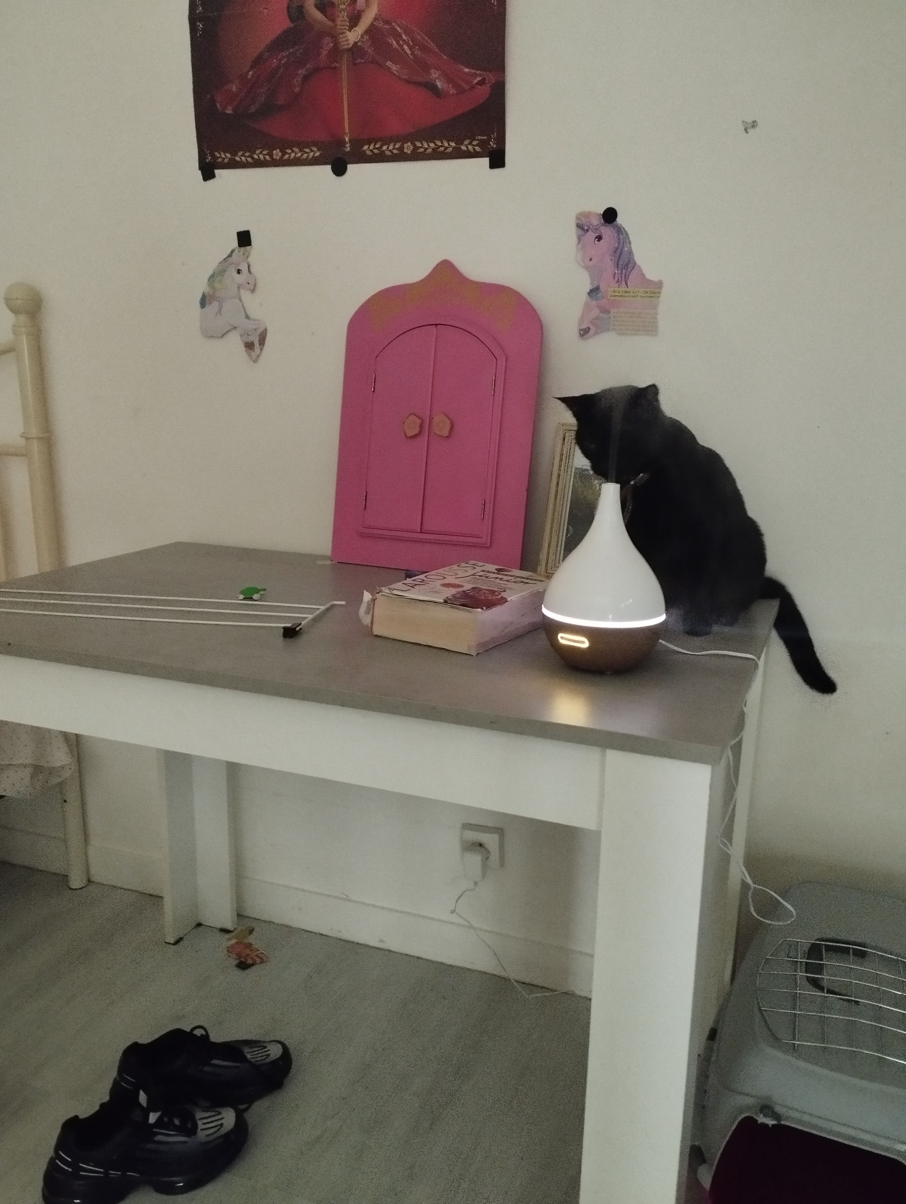 Brus - 13 Boulevard Faidherbe, Cambrai