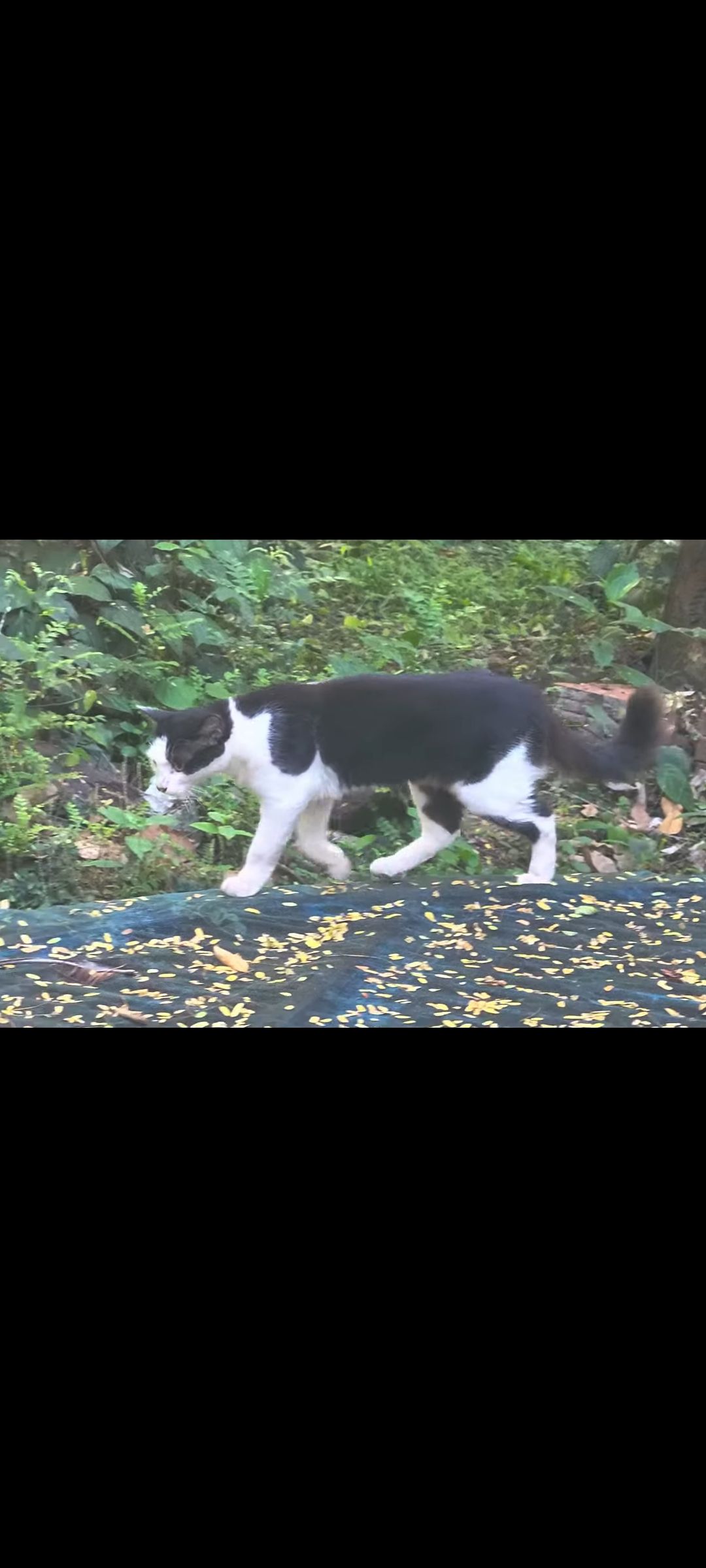 No name - 680012, Olari