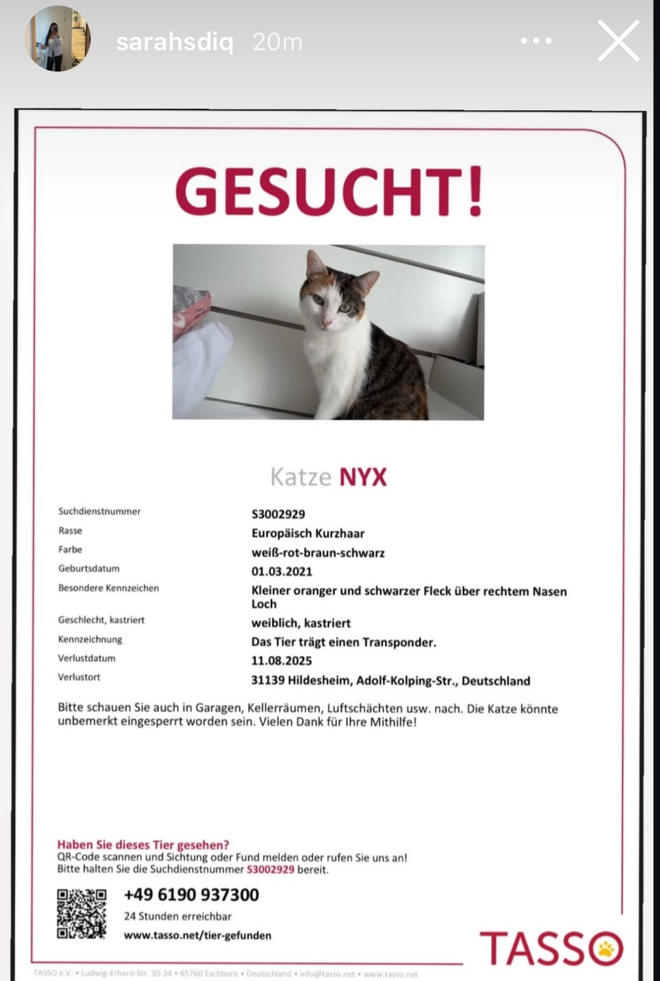 Nyx - Adolf-Kolping-Straße, Hildesheim