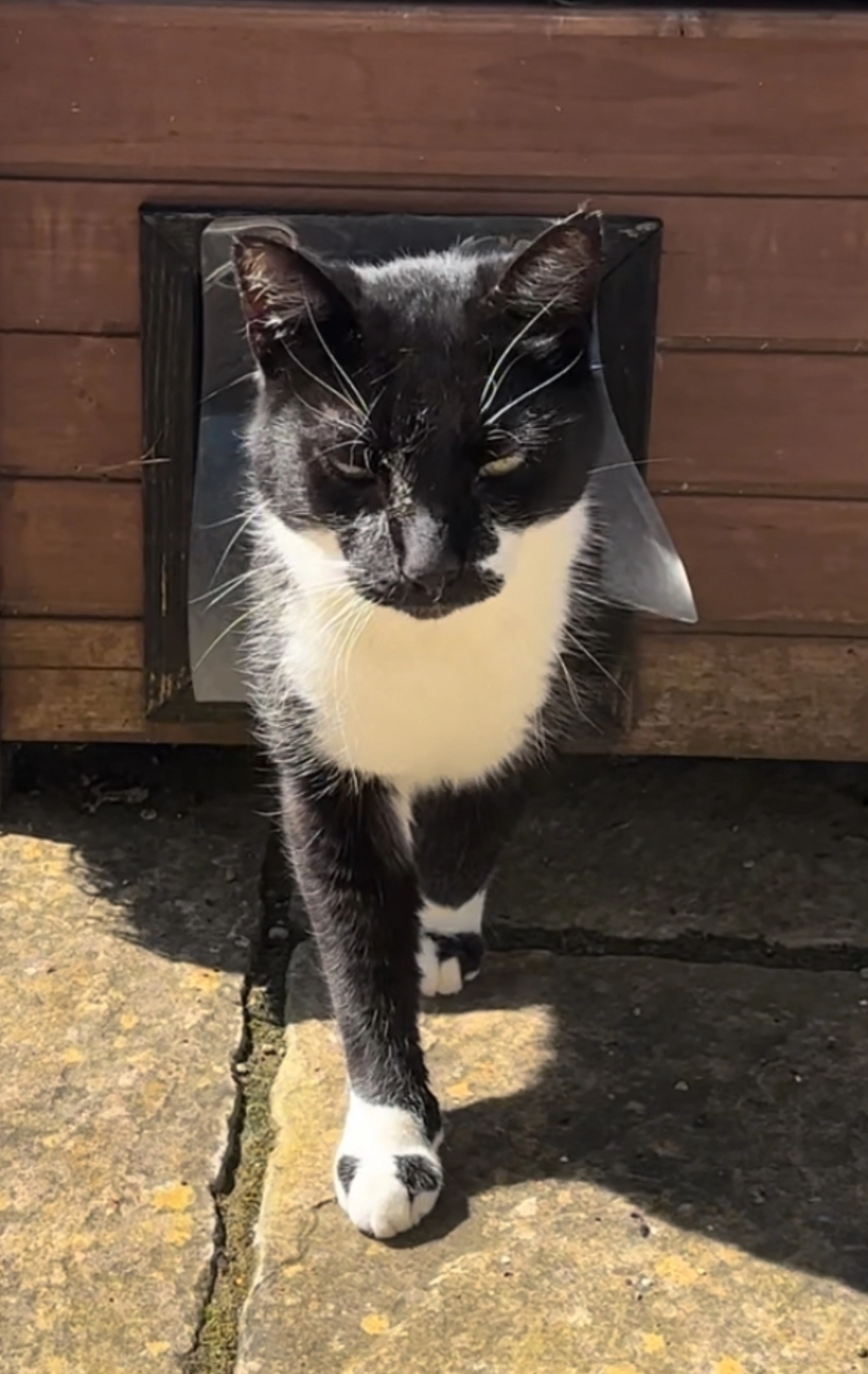 Luff - Collingwood Close, Twickenham