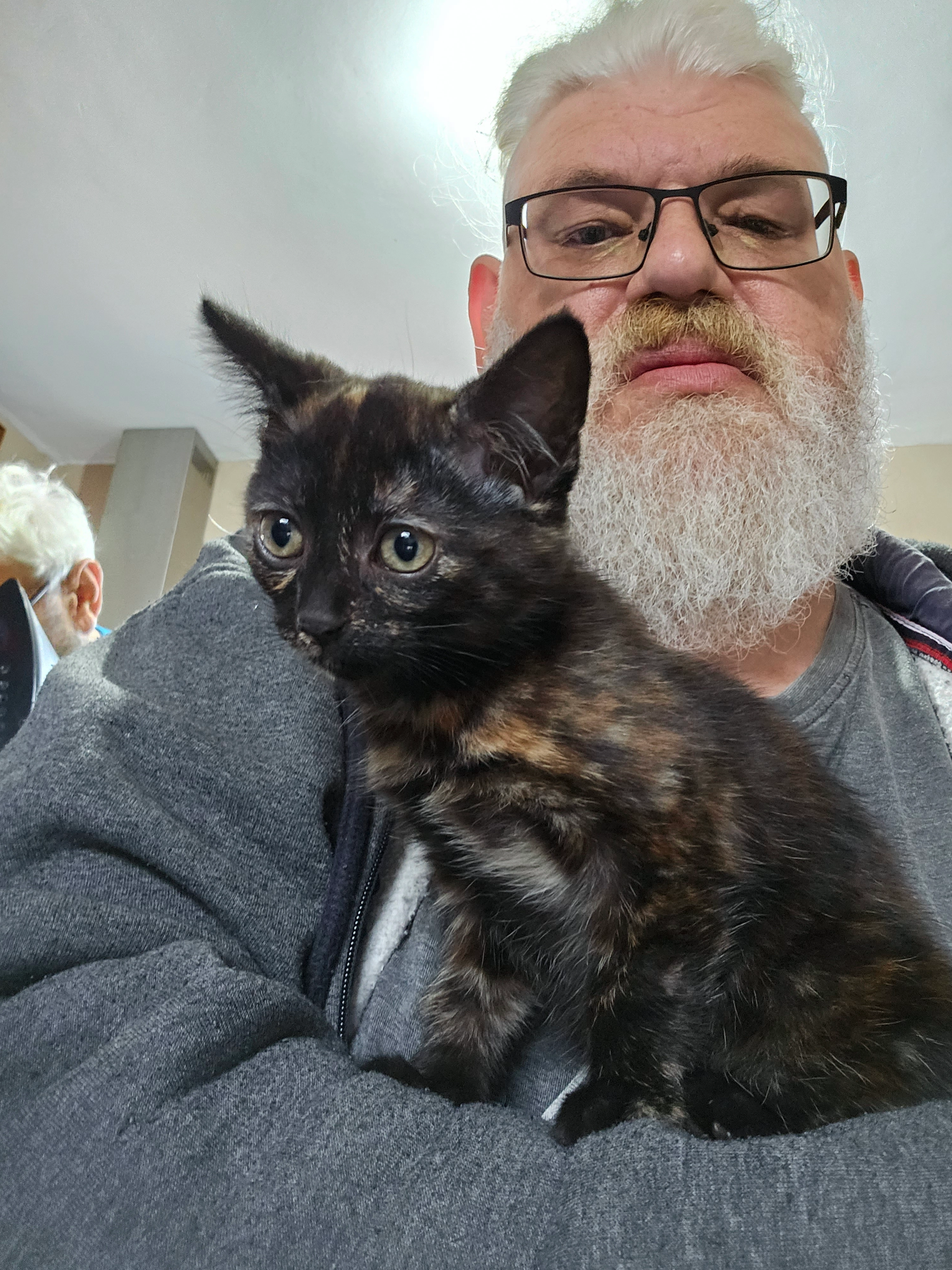 Jess - Linden Road, Ashford