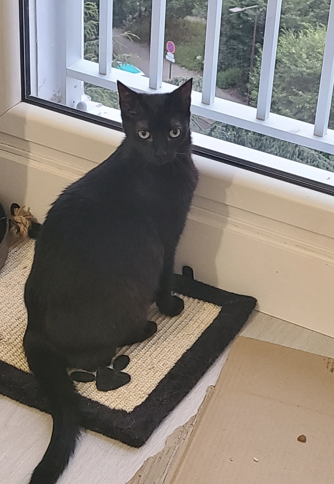 Peo - 6 Boulevard Vincent Gache, Nantes