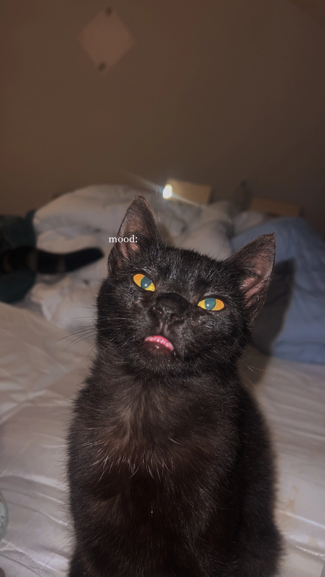 Luzi  - Seeburg, Soyen