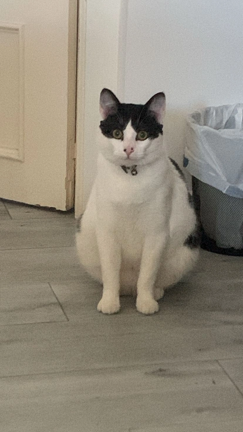 Milo - Carril de Pajas, Orihuela