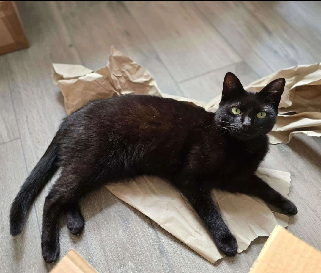 Iki - Egelsberg, Borgentreich